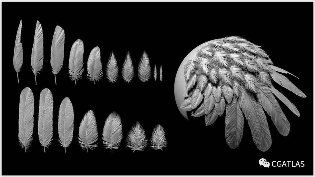 zbrush细节羽毛笔刷zb