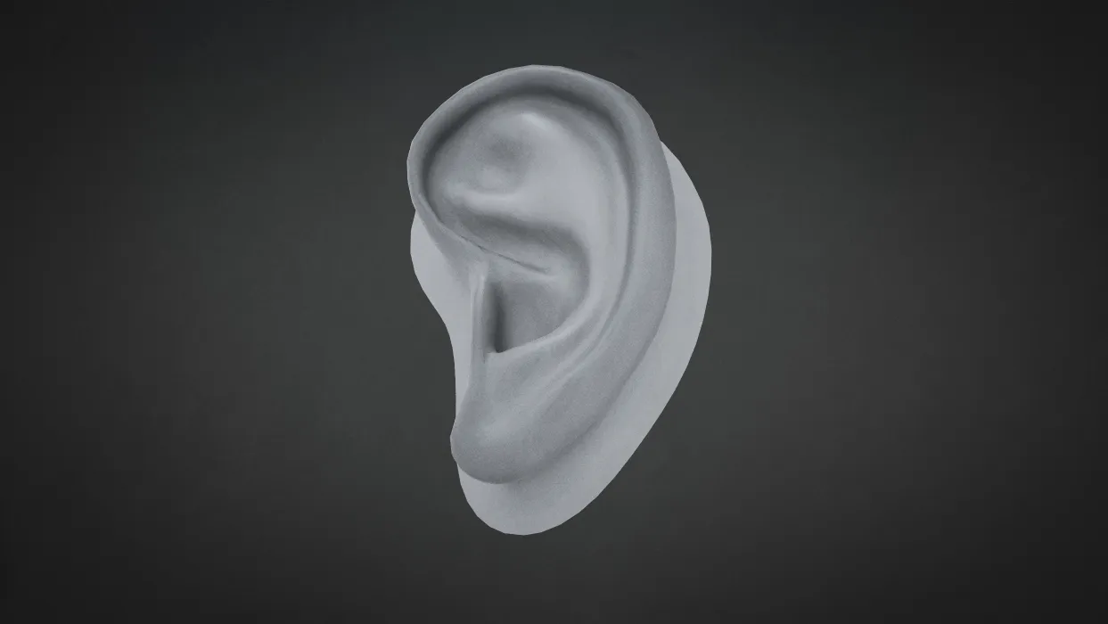Ear.jpg