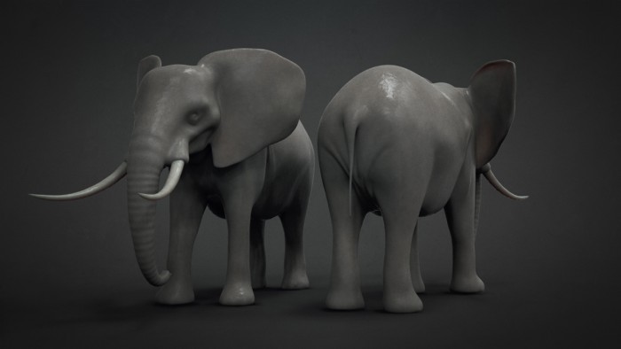 Elephant_00-700x394.jpg