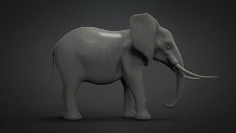 Elephant_01.jpg