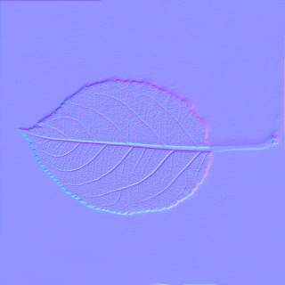 Leaf_19_BACK_NM.jpg