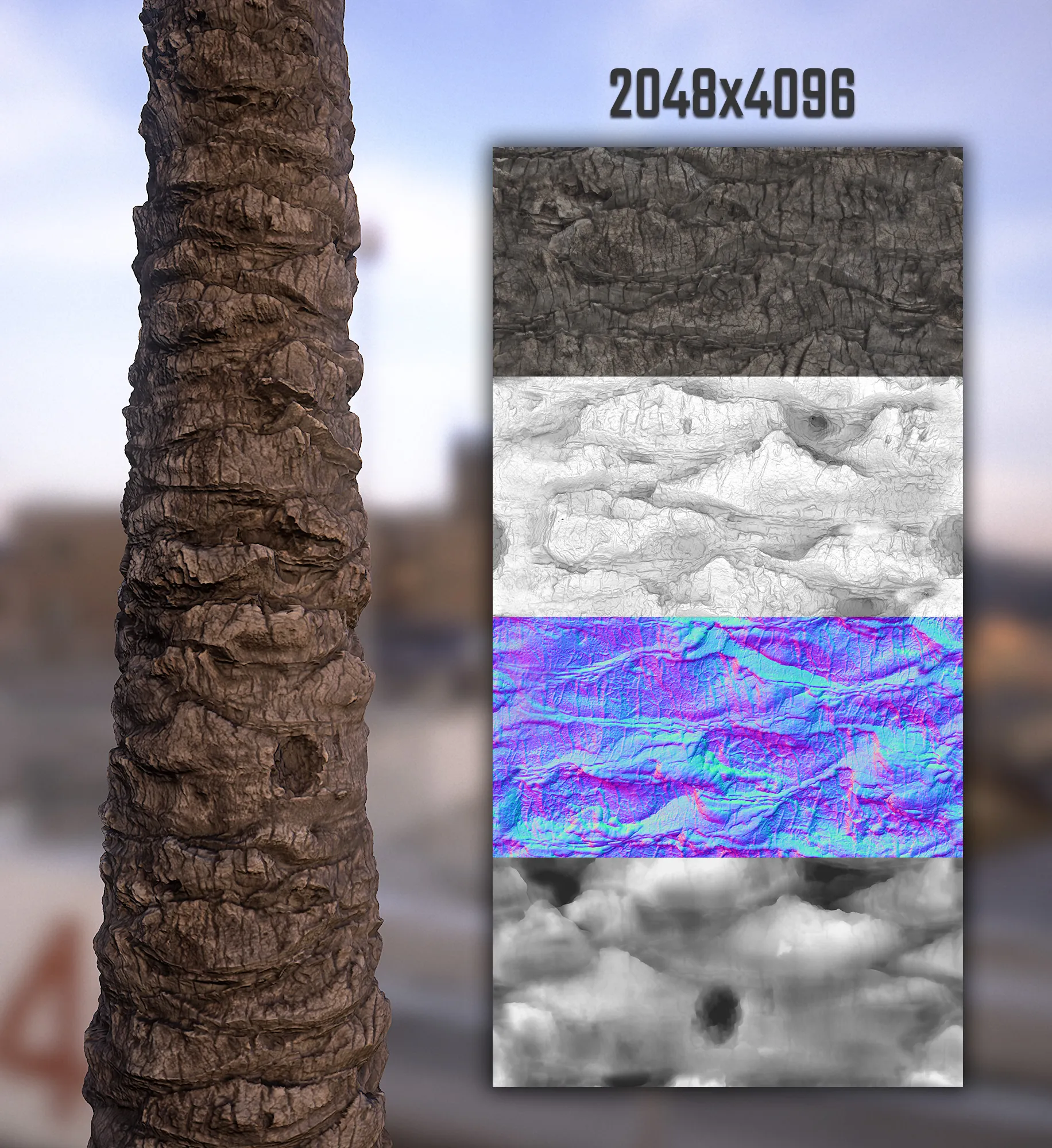 palm_tree_01.jpg