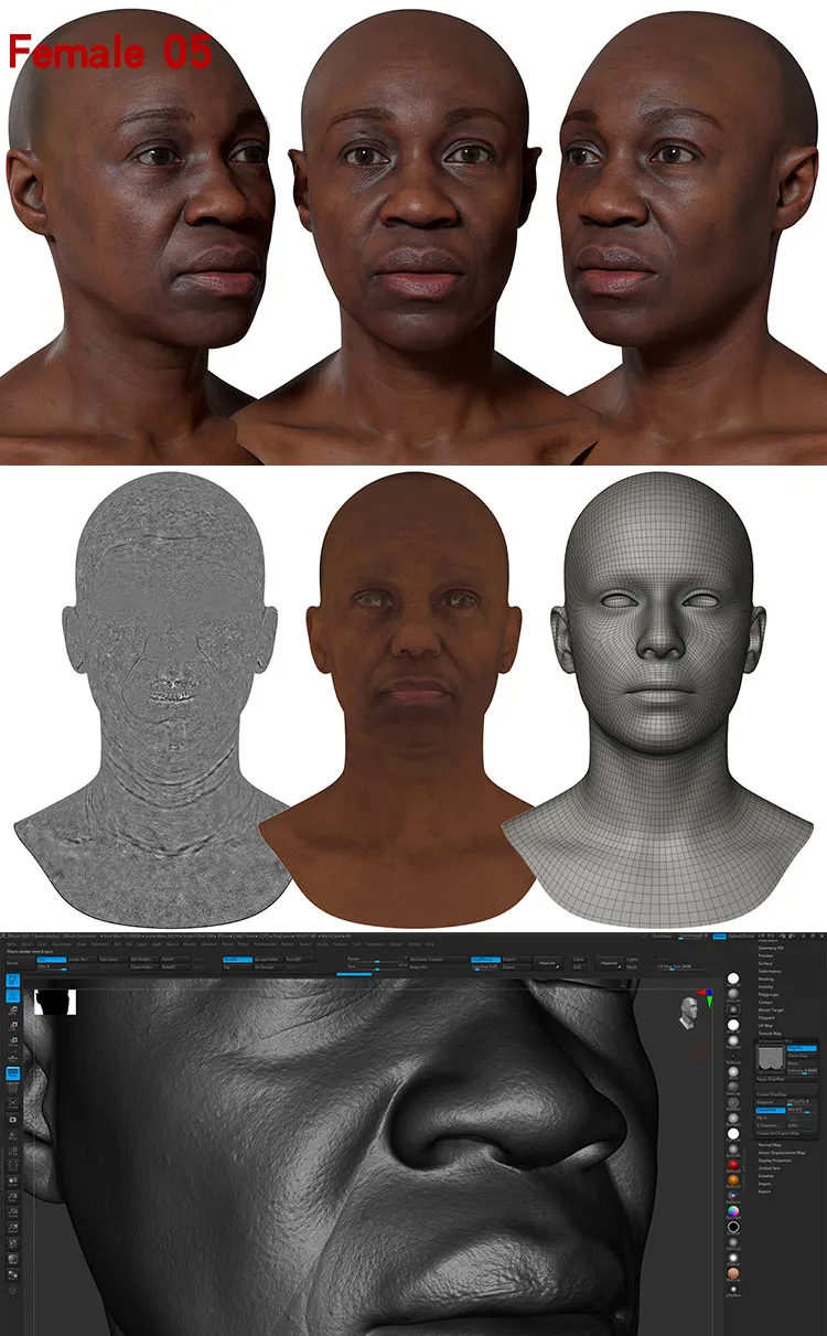 Female 05 Displacement.jpg