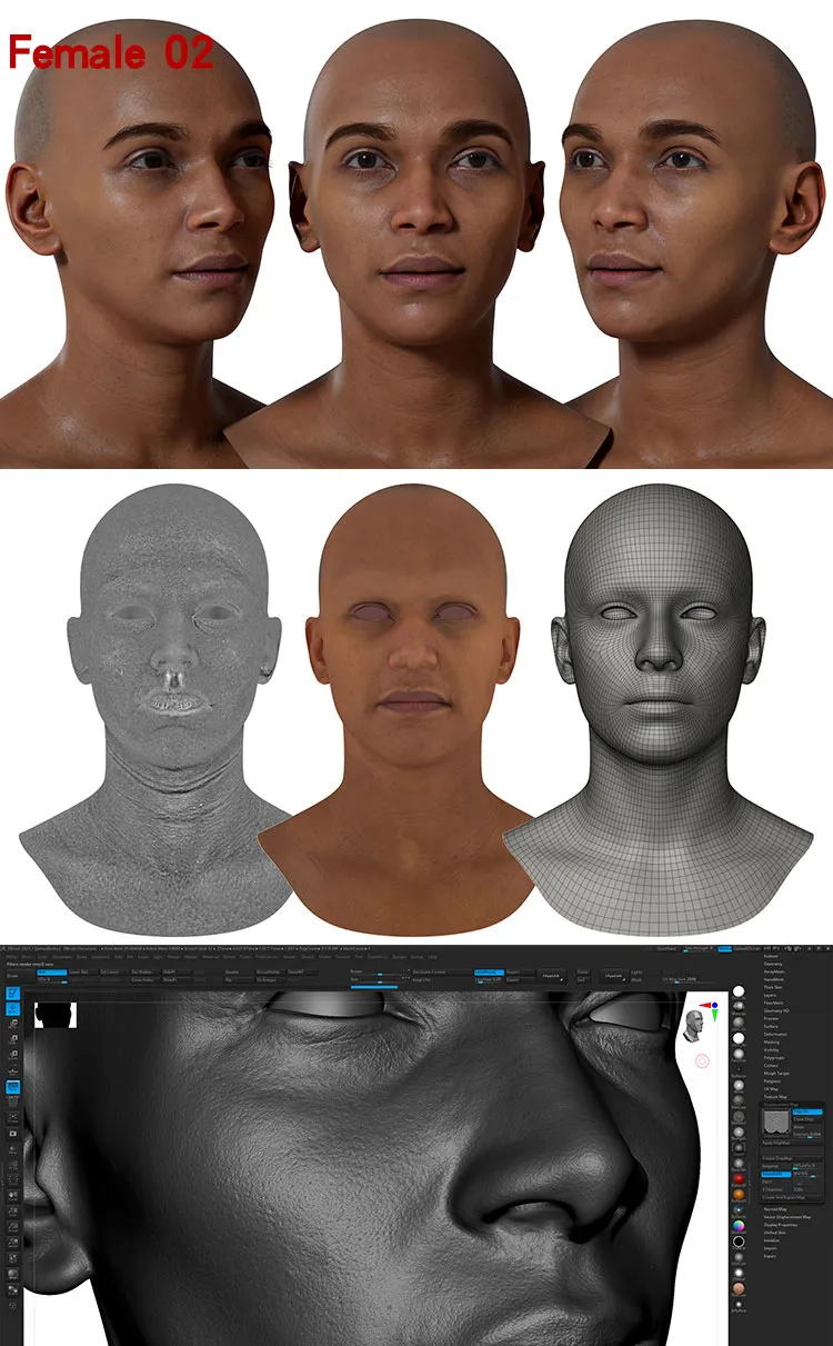 Female 02 Displacement.jpg