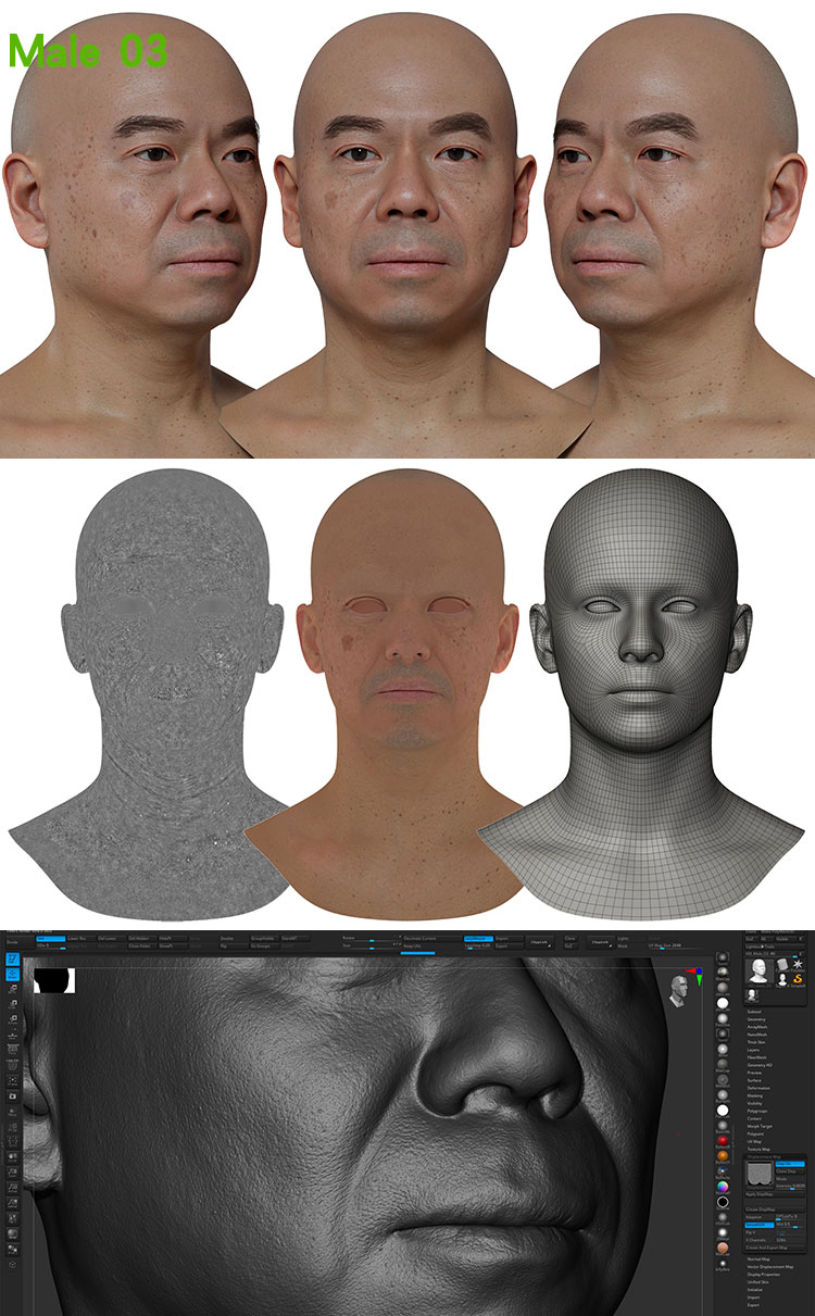 Male 03 Displacement.jpg