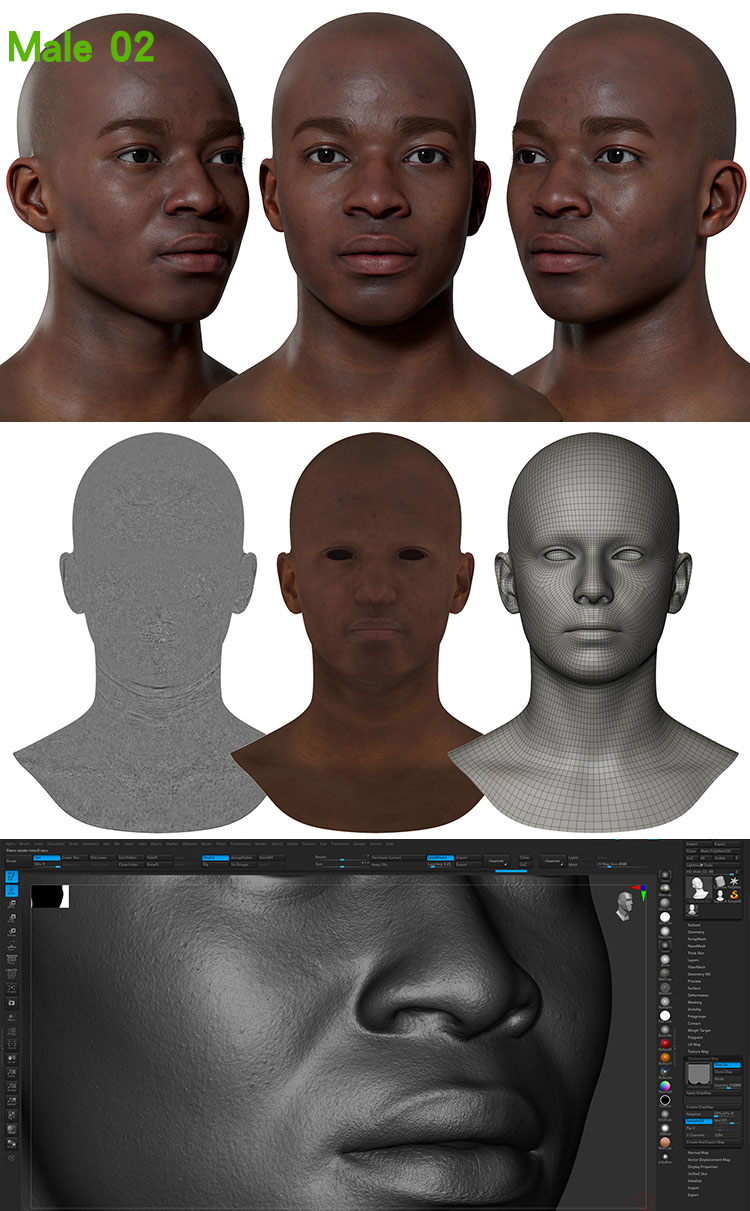 Male 02 Displacement.jpg