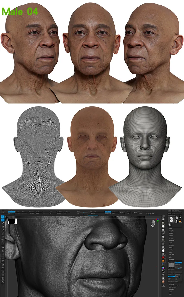 Male 04 Displacement.jpg