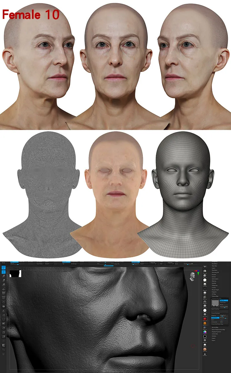 Female 10 Displacement.jpg