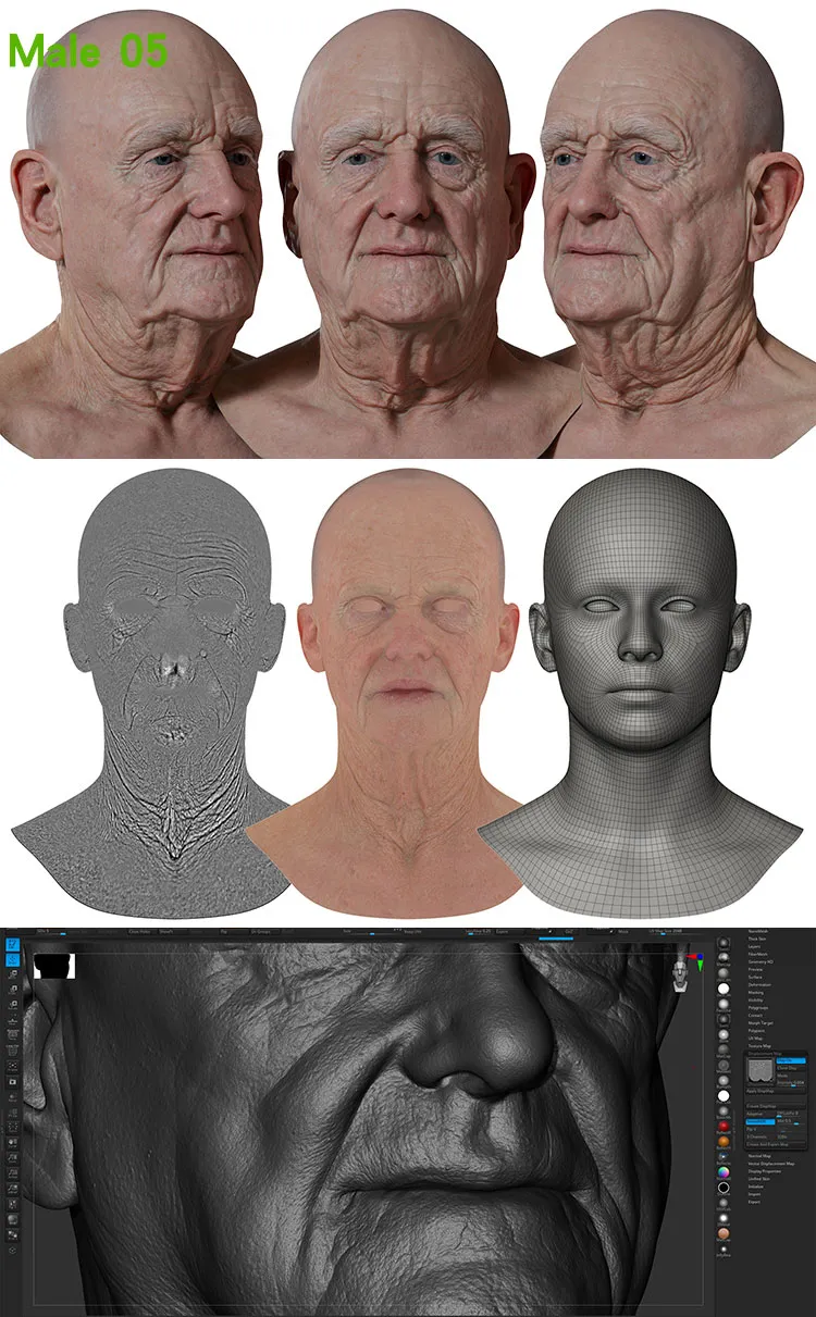 Male 05 Displacement.jpg