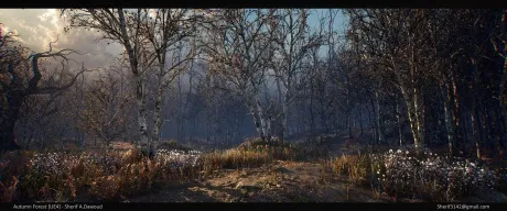 Autumn Forest [UE4]