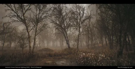 Autumn Forest [UE4] - Overcast Lighting w/Breakdown