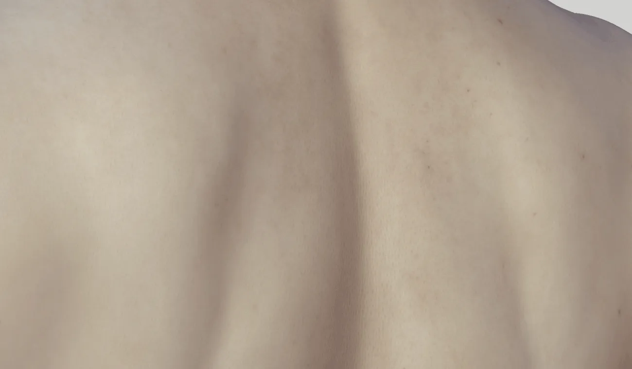 Back-Detail.gif