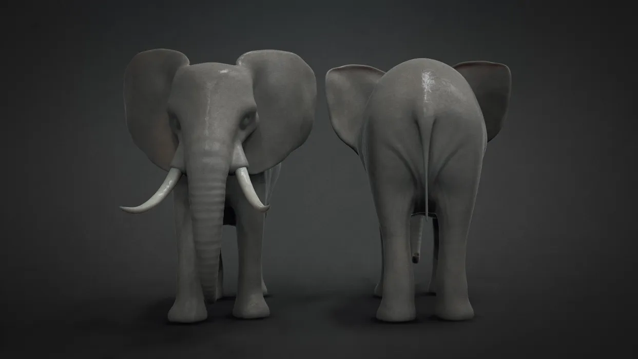 Elephant_02.jpg