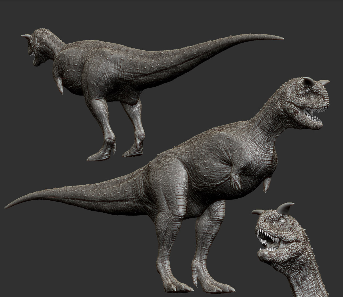 smallcg4 - 副本.jpg