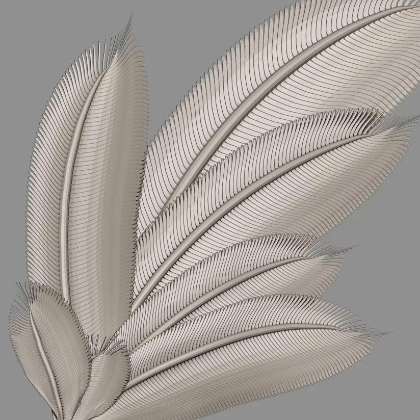 Feather.jpg
