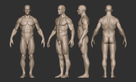 男肌肉人体模型03.jpg