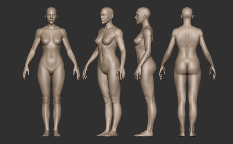 女肌肉人体模型03.jpg
