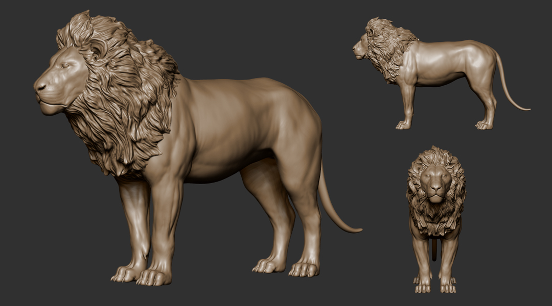 狮子模型.jpg