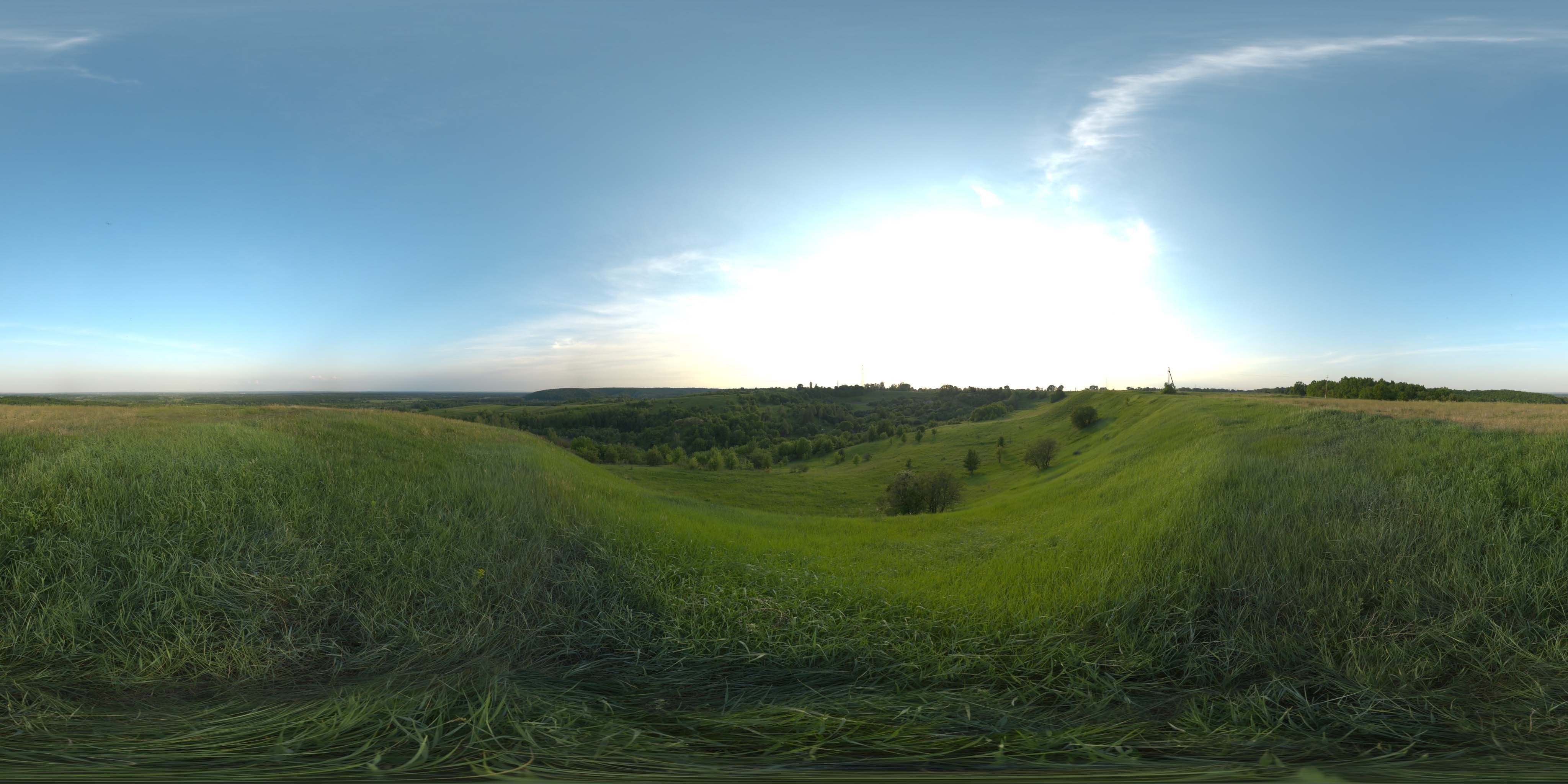 地面草地 A (14).jpg