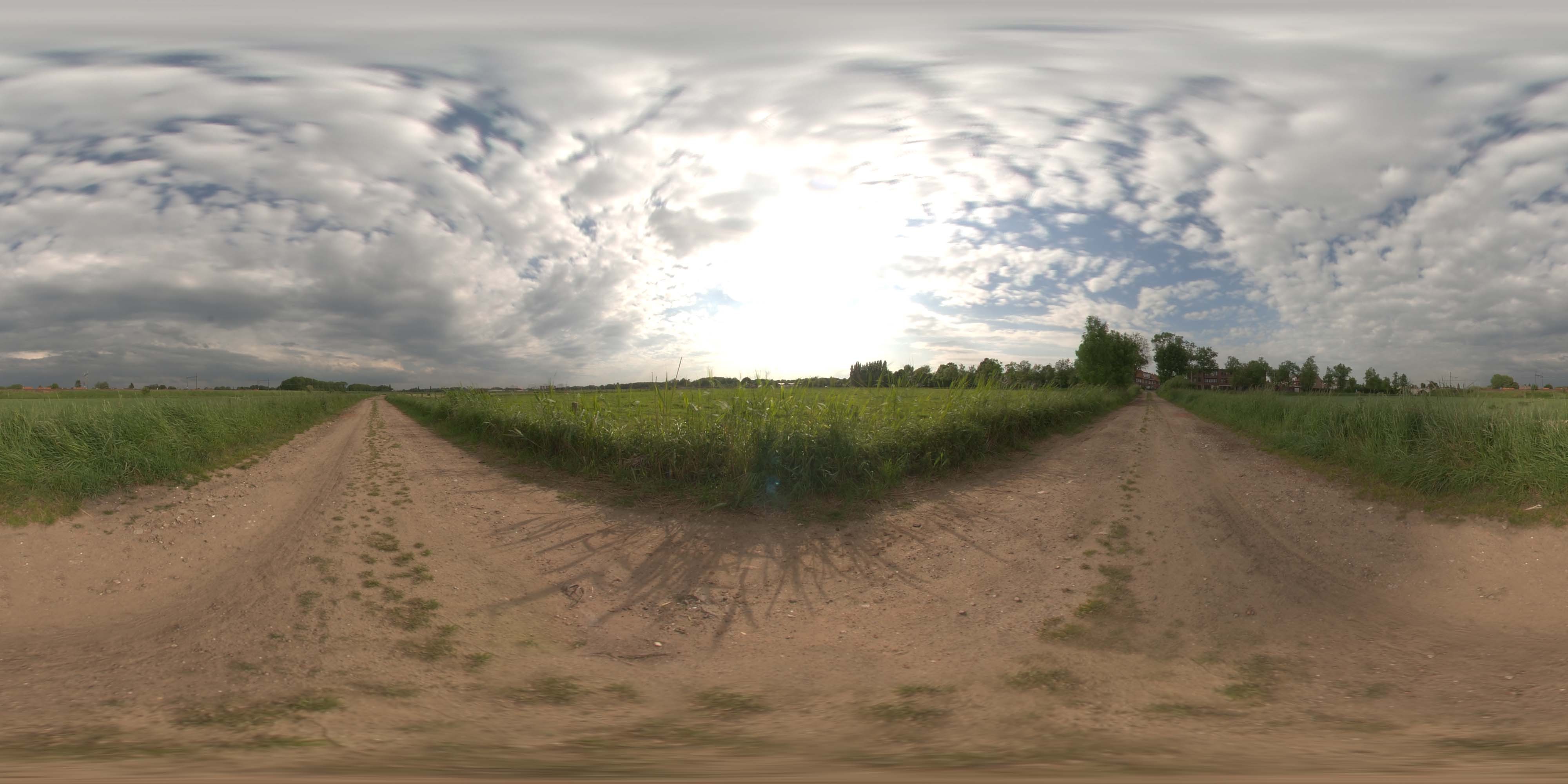 地面草地 B (6).jpg