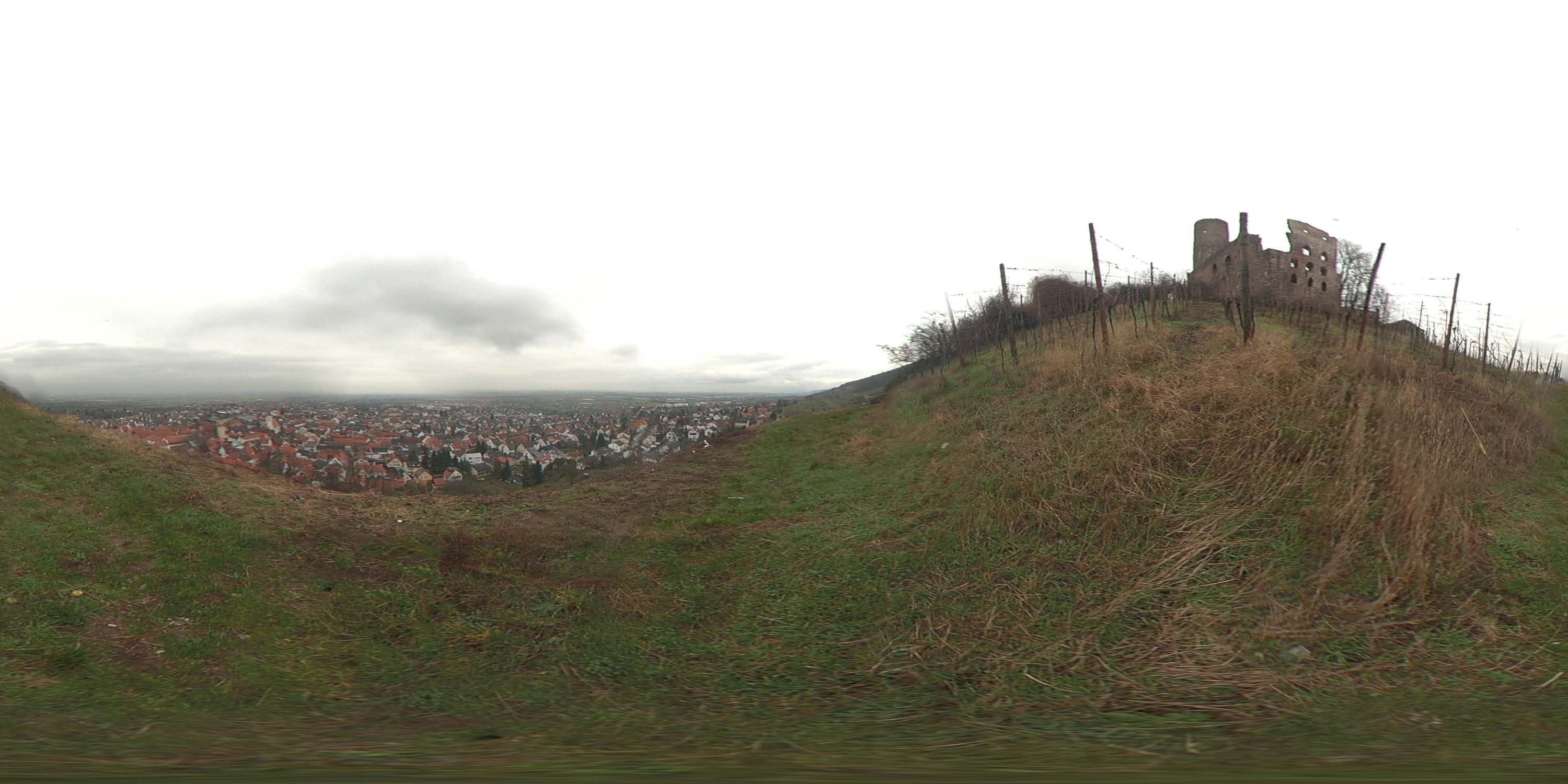 地面草地 B (11).jpg