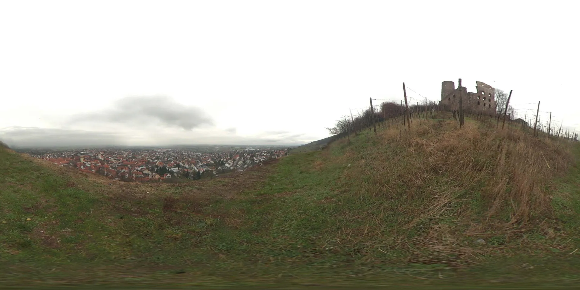 地面草地 B (11).jpg