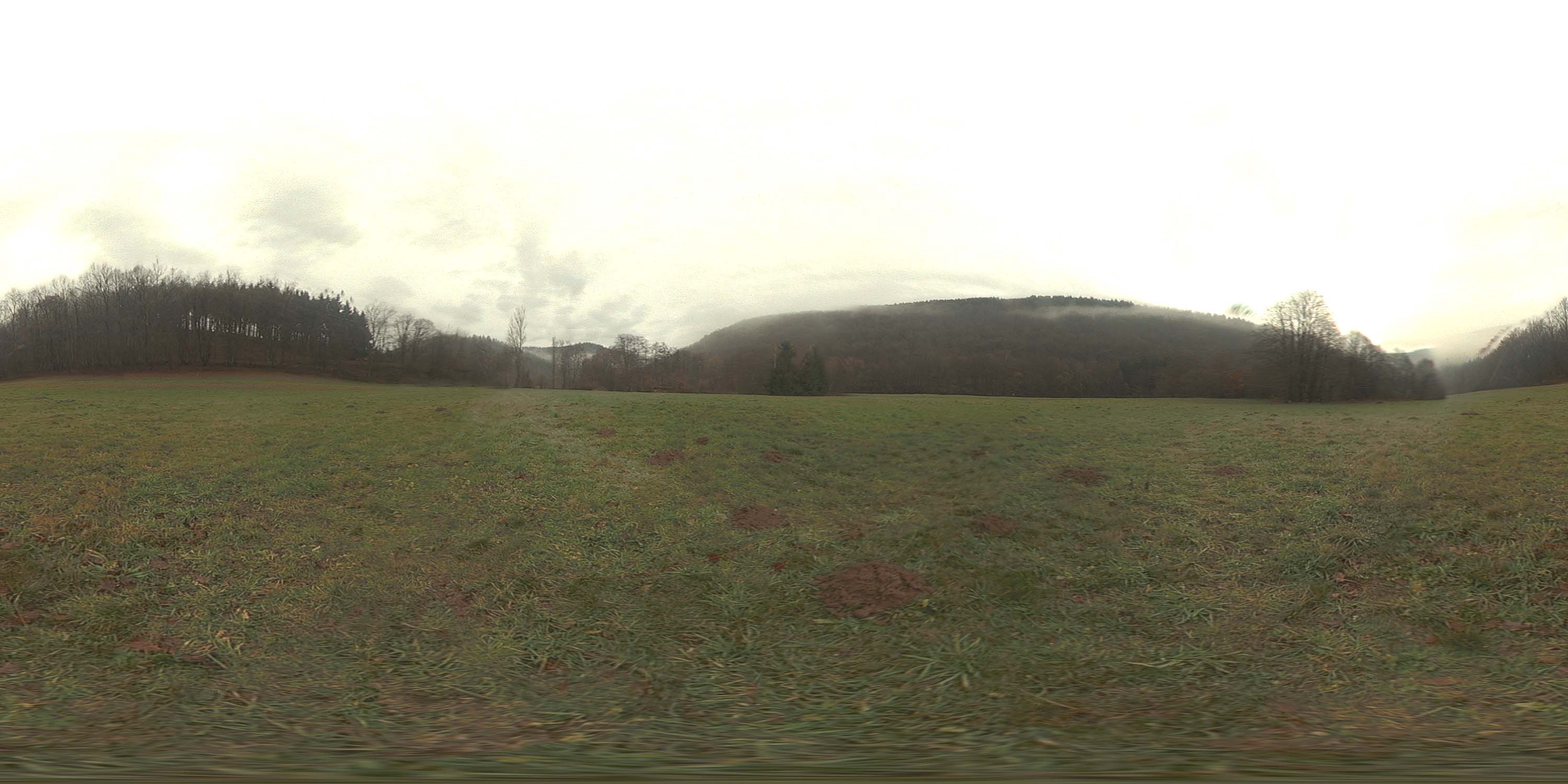 地面草地 B (21).jpg