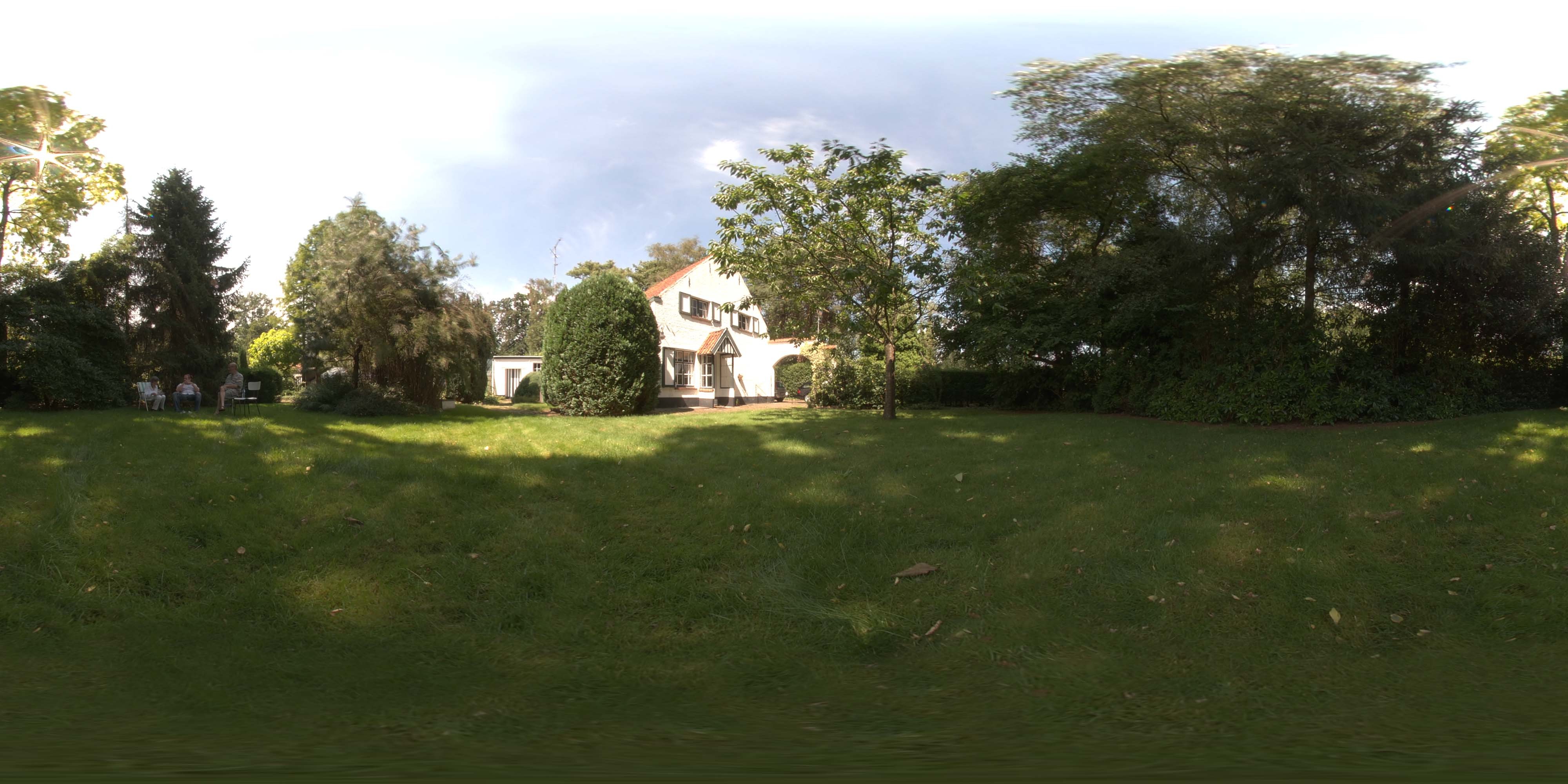 地面草地 B (8).jpg