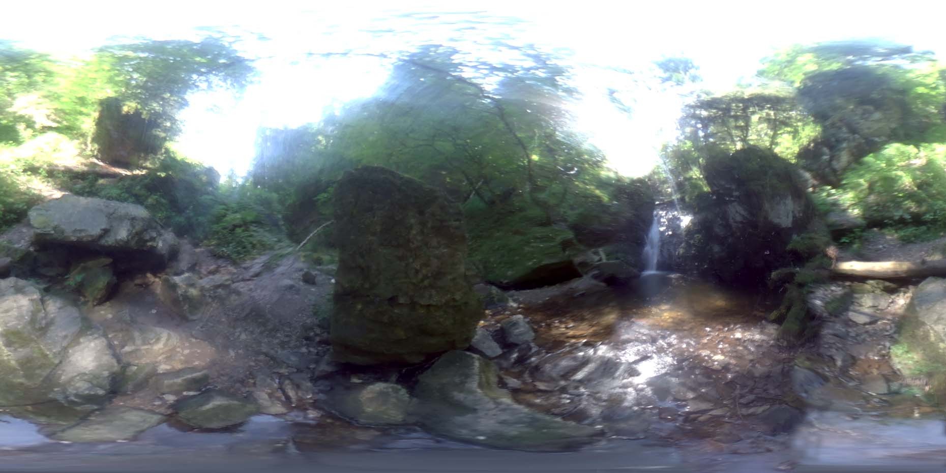 荒郊树林 A (2).jpg