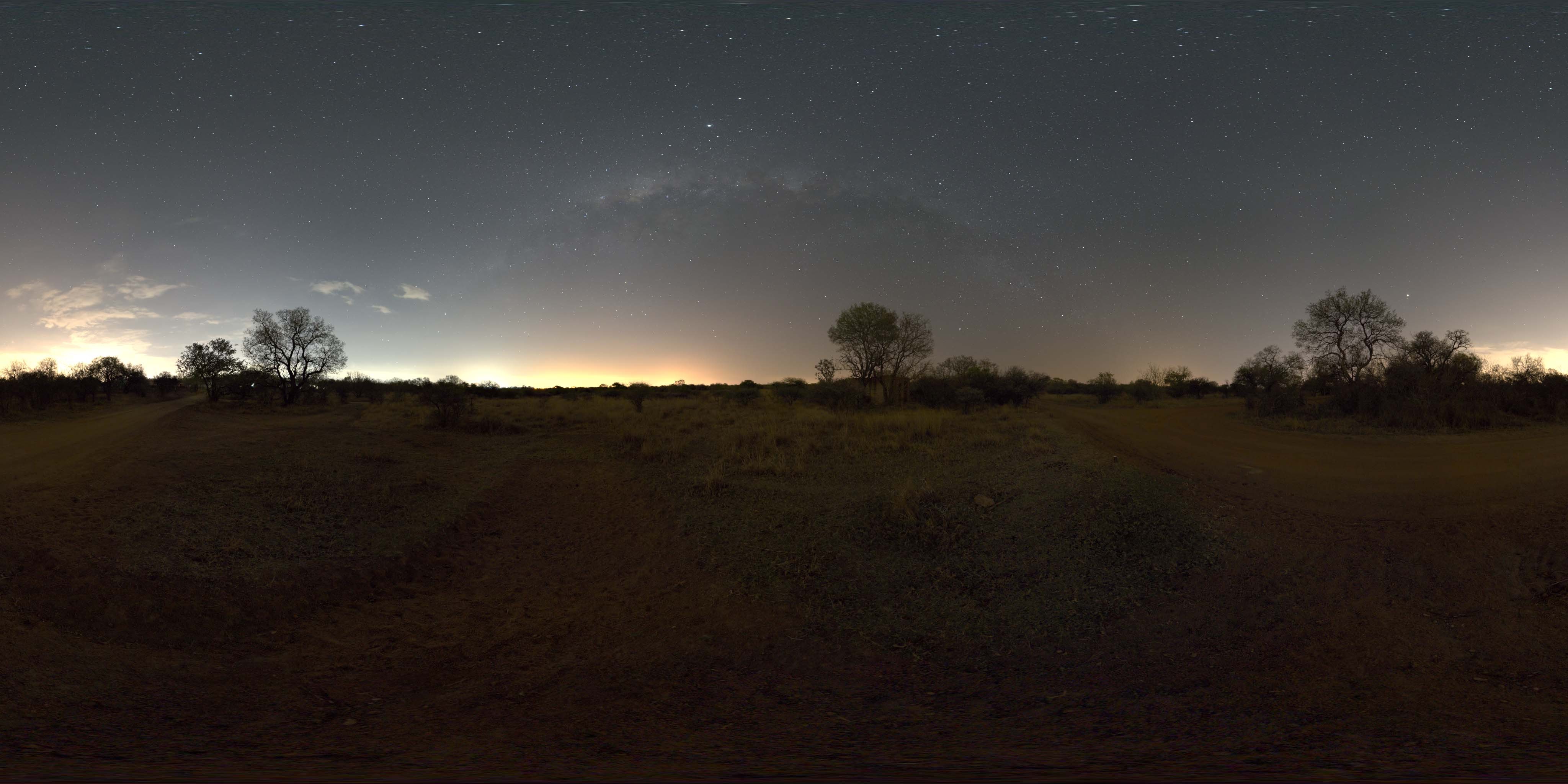 荒郊树林 A (7).jpg