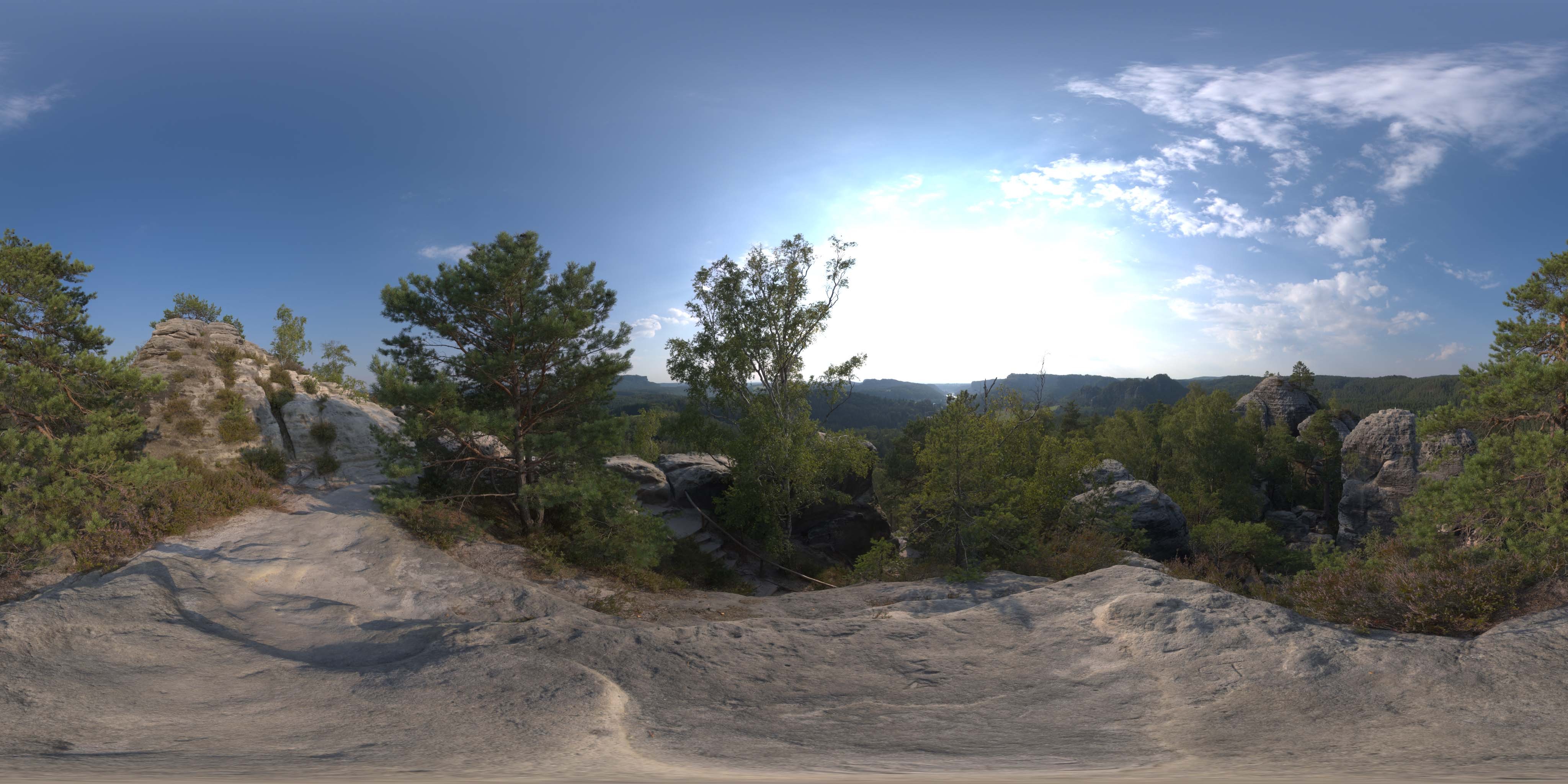 荒郊树林 A (12).jpg