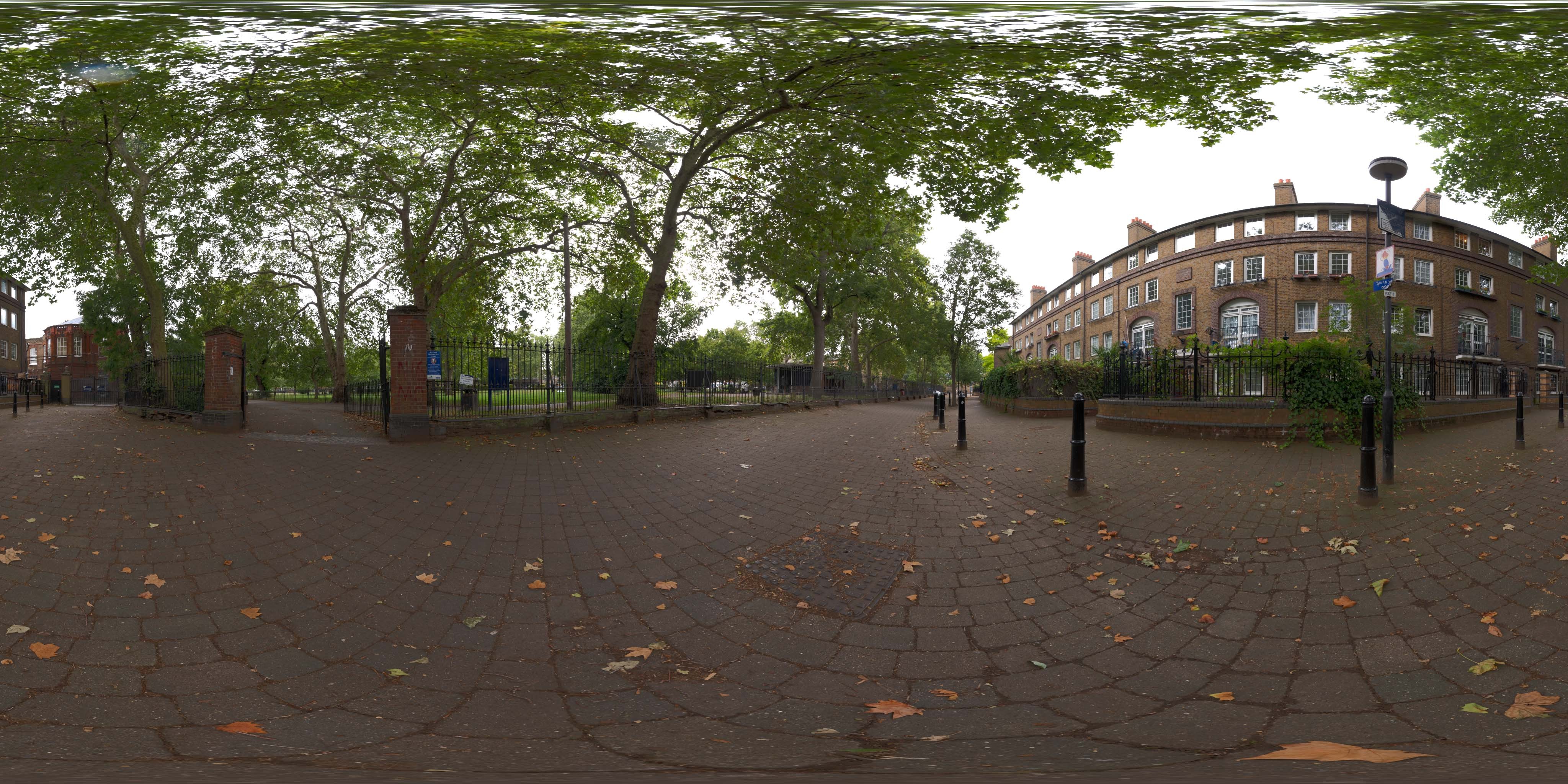 荒郊树林 A (5).jpg