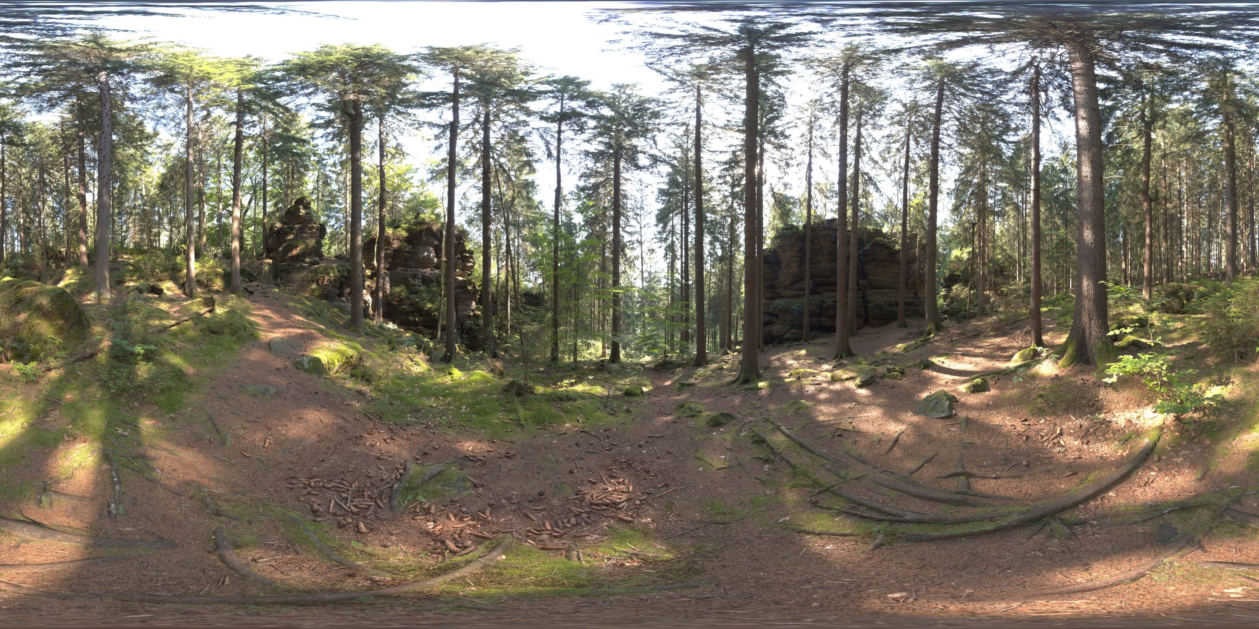 荒郊树林 A (11).jpg