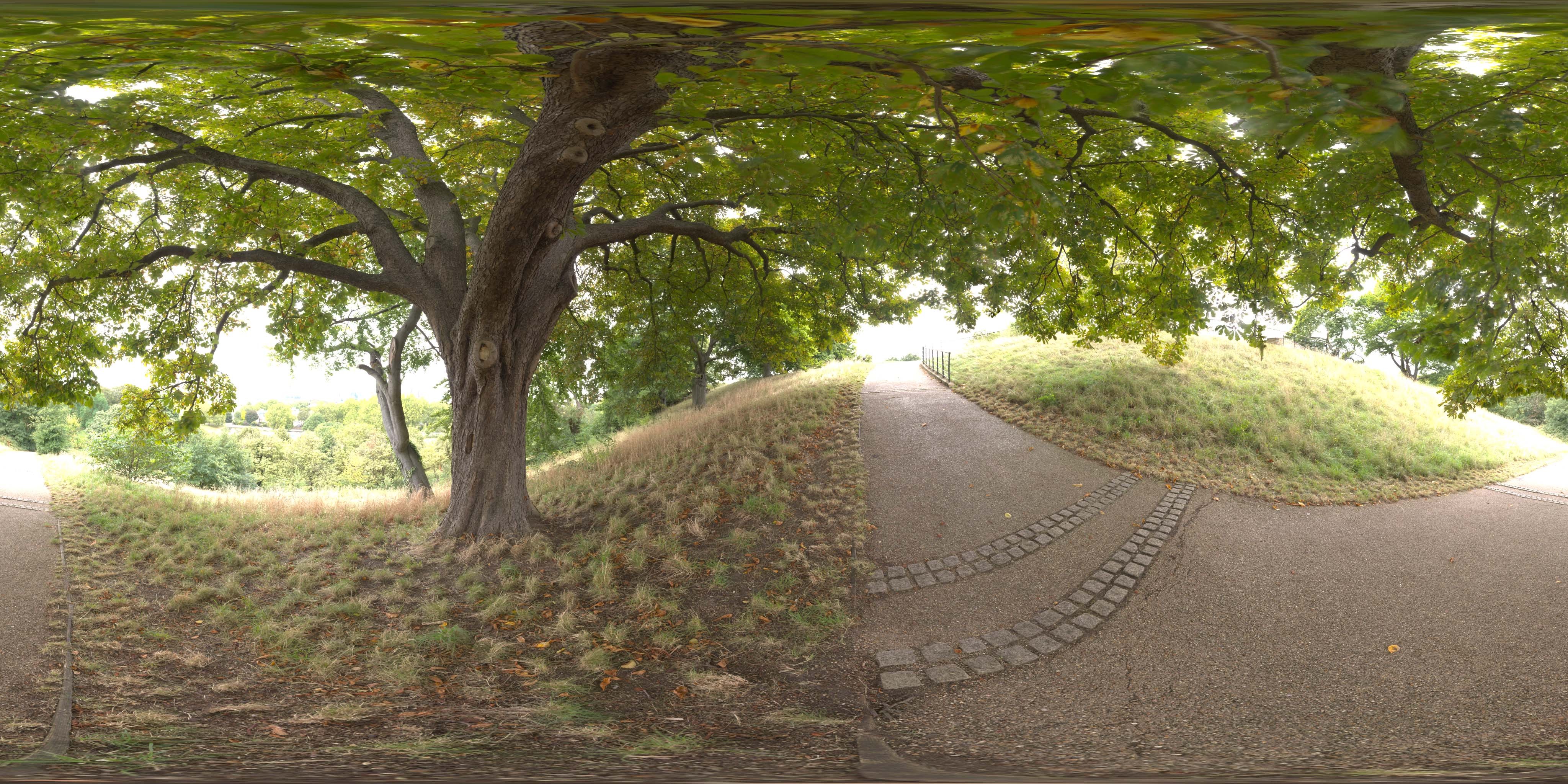 荒郊树林 A (15).jpg