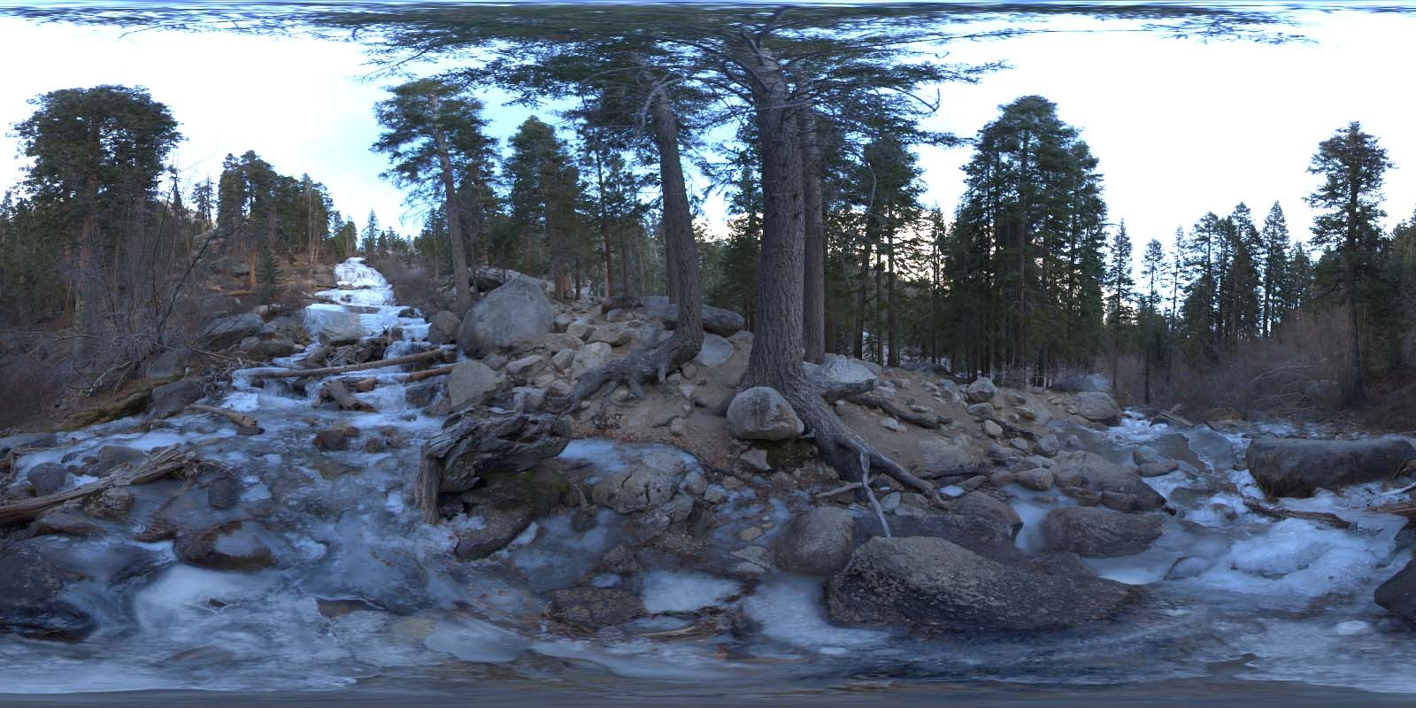 荒郊树林 B (2).jpg