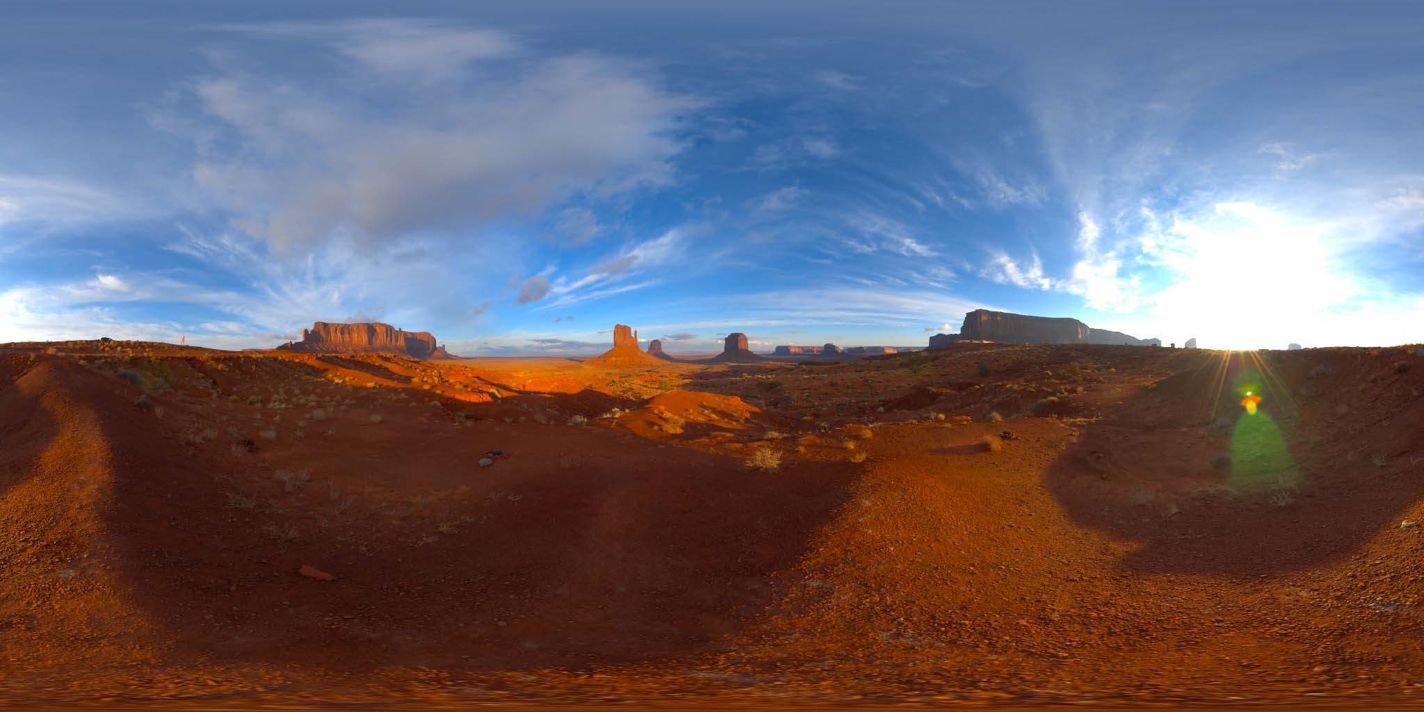 荒郊树林 B (7).jpg