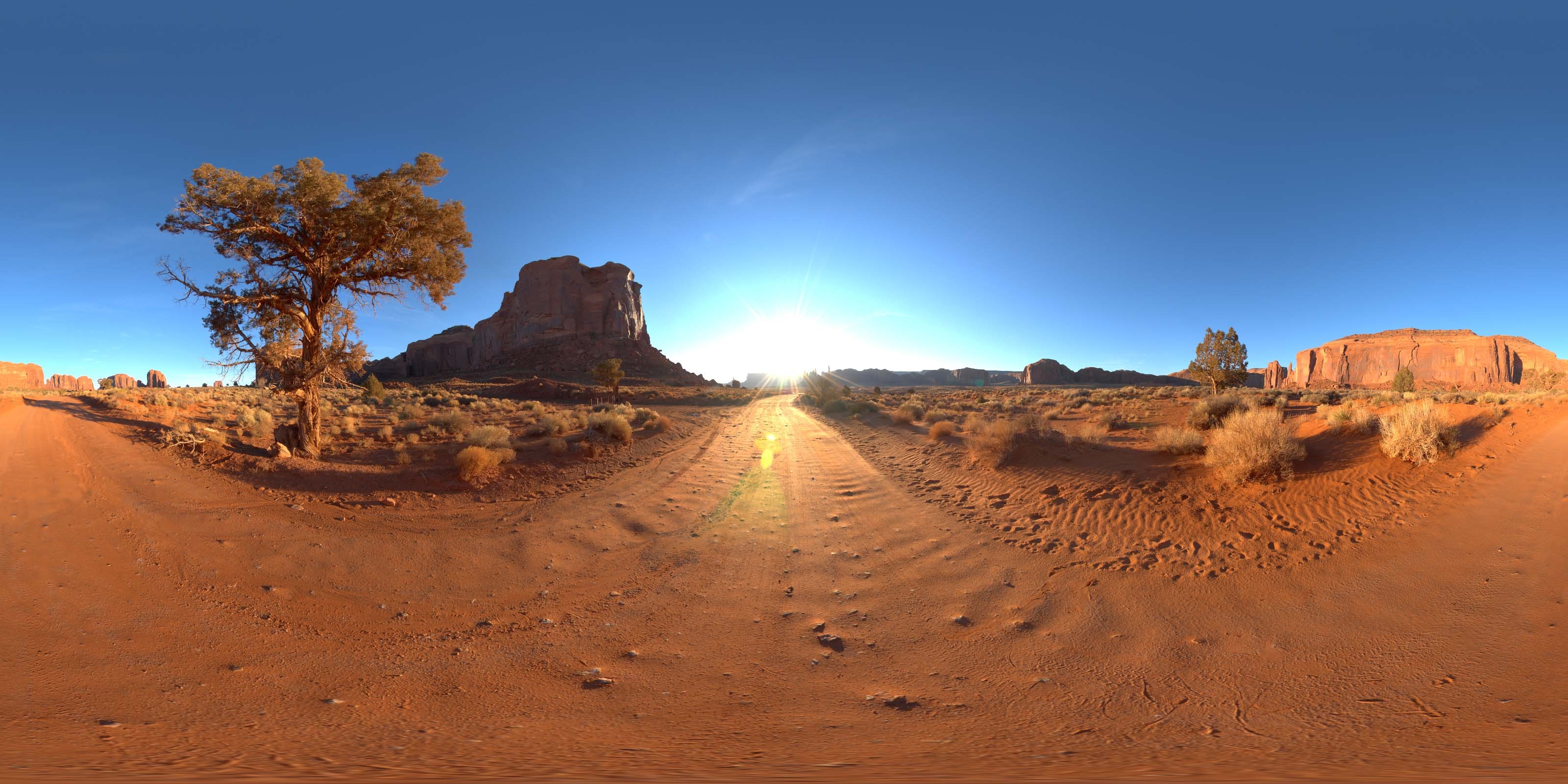 荒郊树林 B (6).jpg