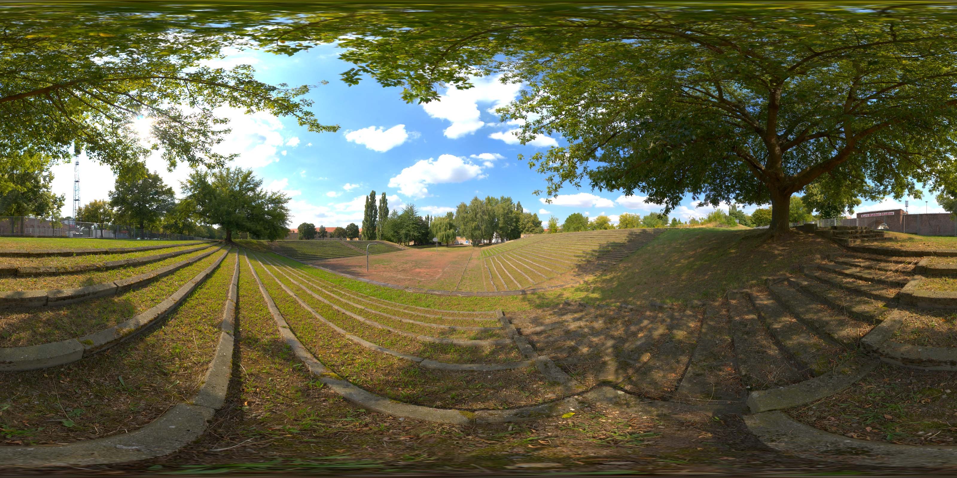 荒郊树林 B (1).jpg