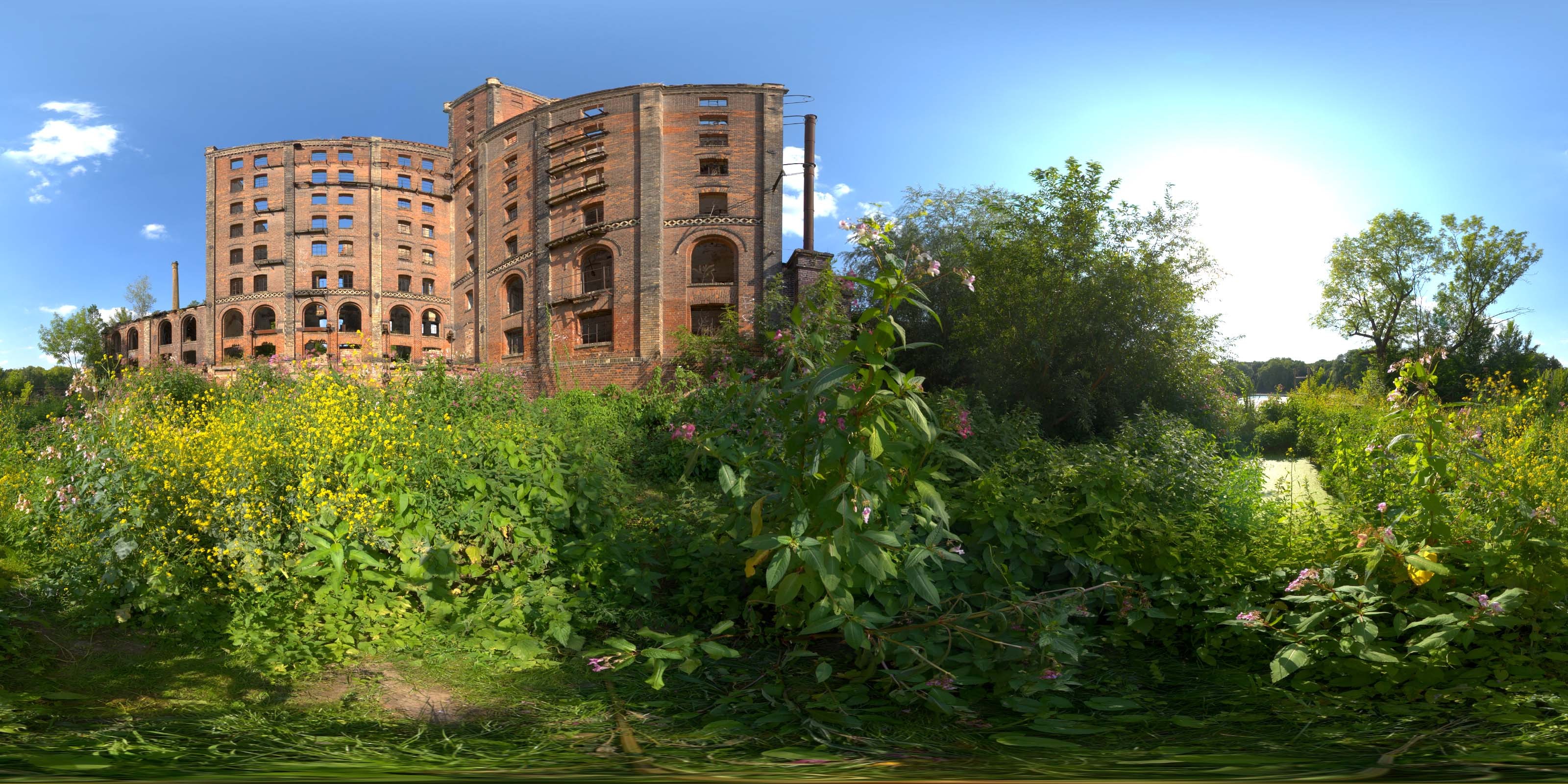 荒郊树林 B (8).jpg