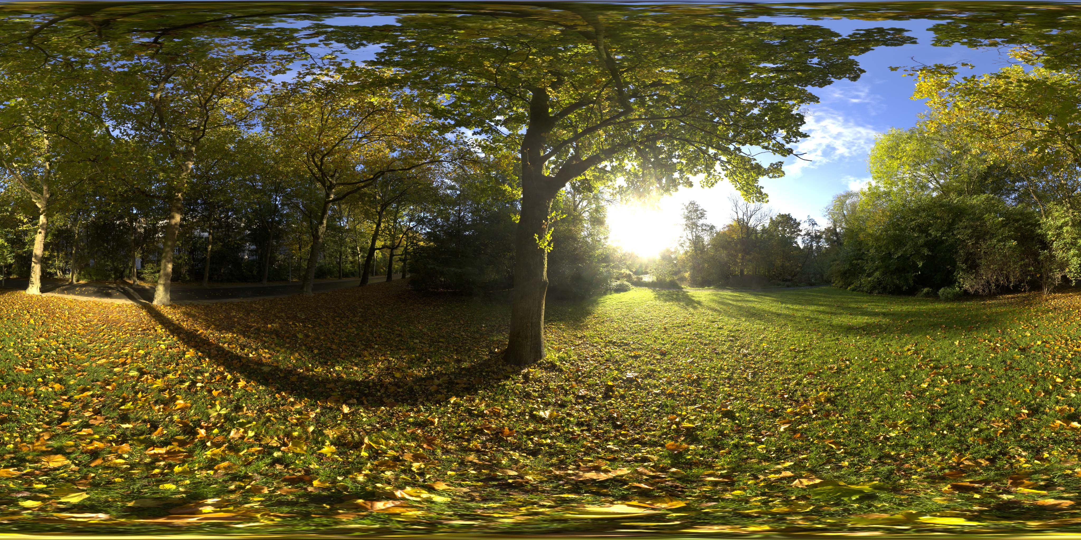 荒郊树林 A (21).jpg