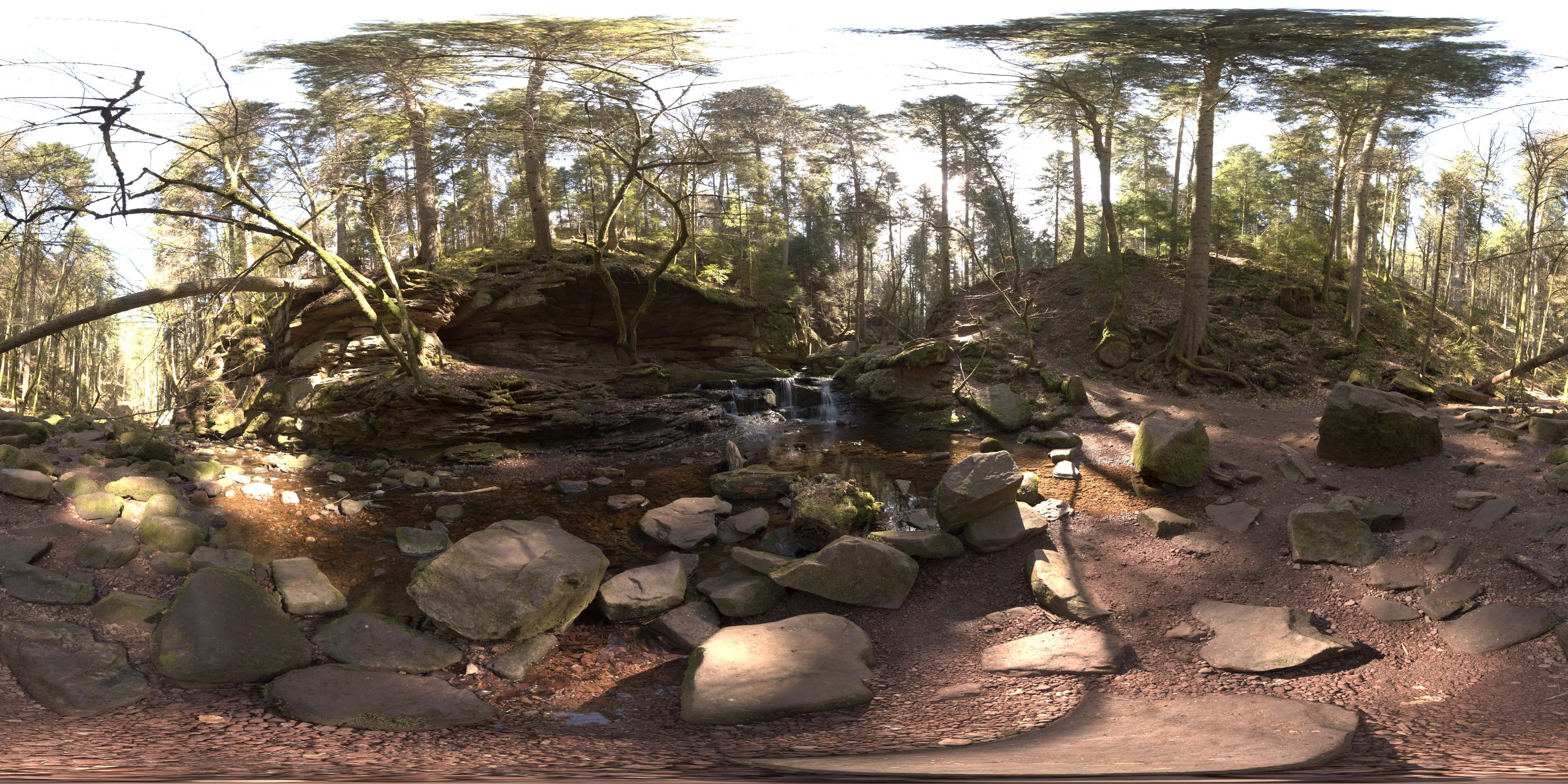 荒郊树林 A (19).jpg