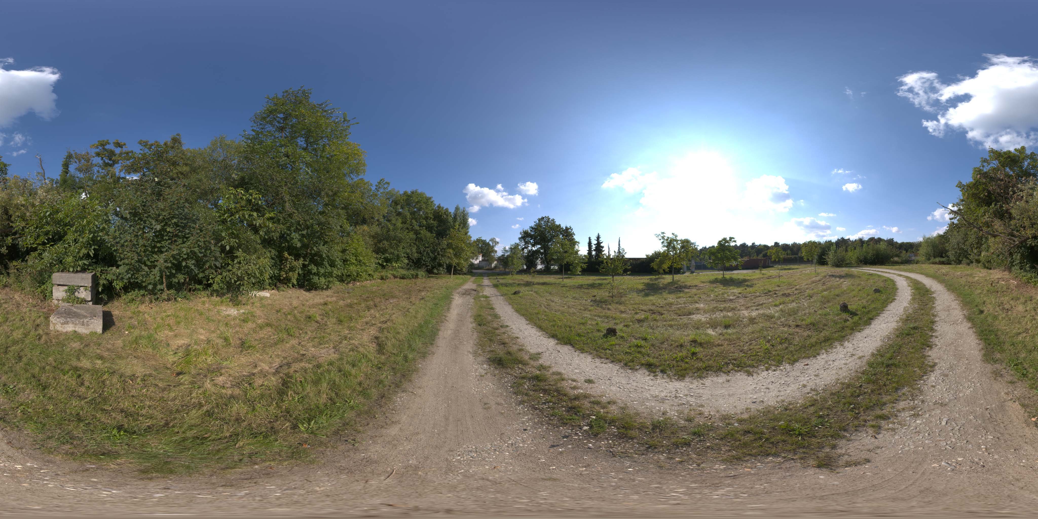 荒郊树林 A (24).jpg