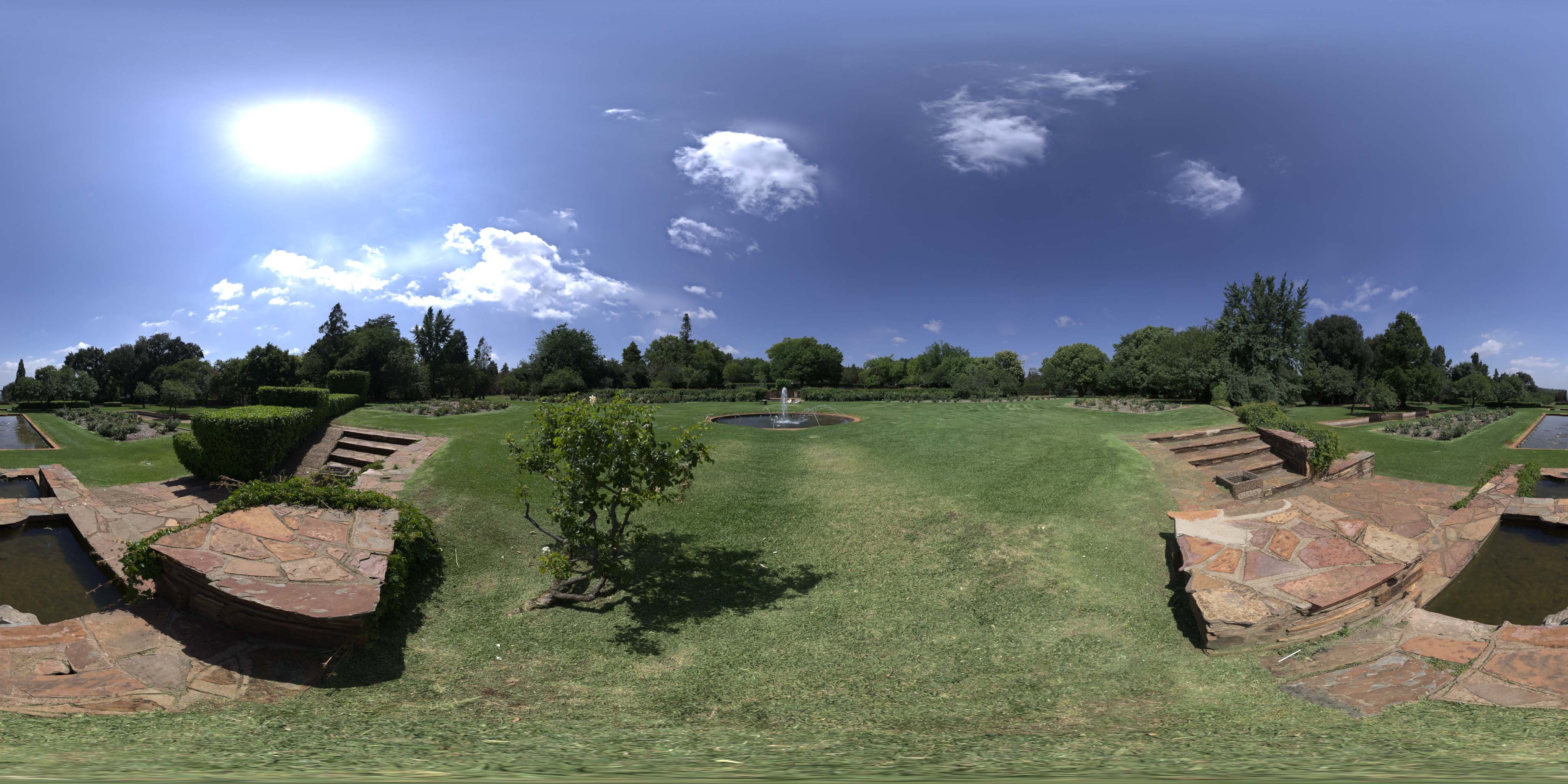 荒郊树林 A (23).jpg