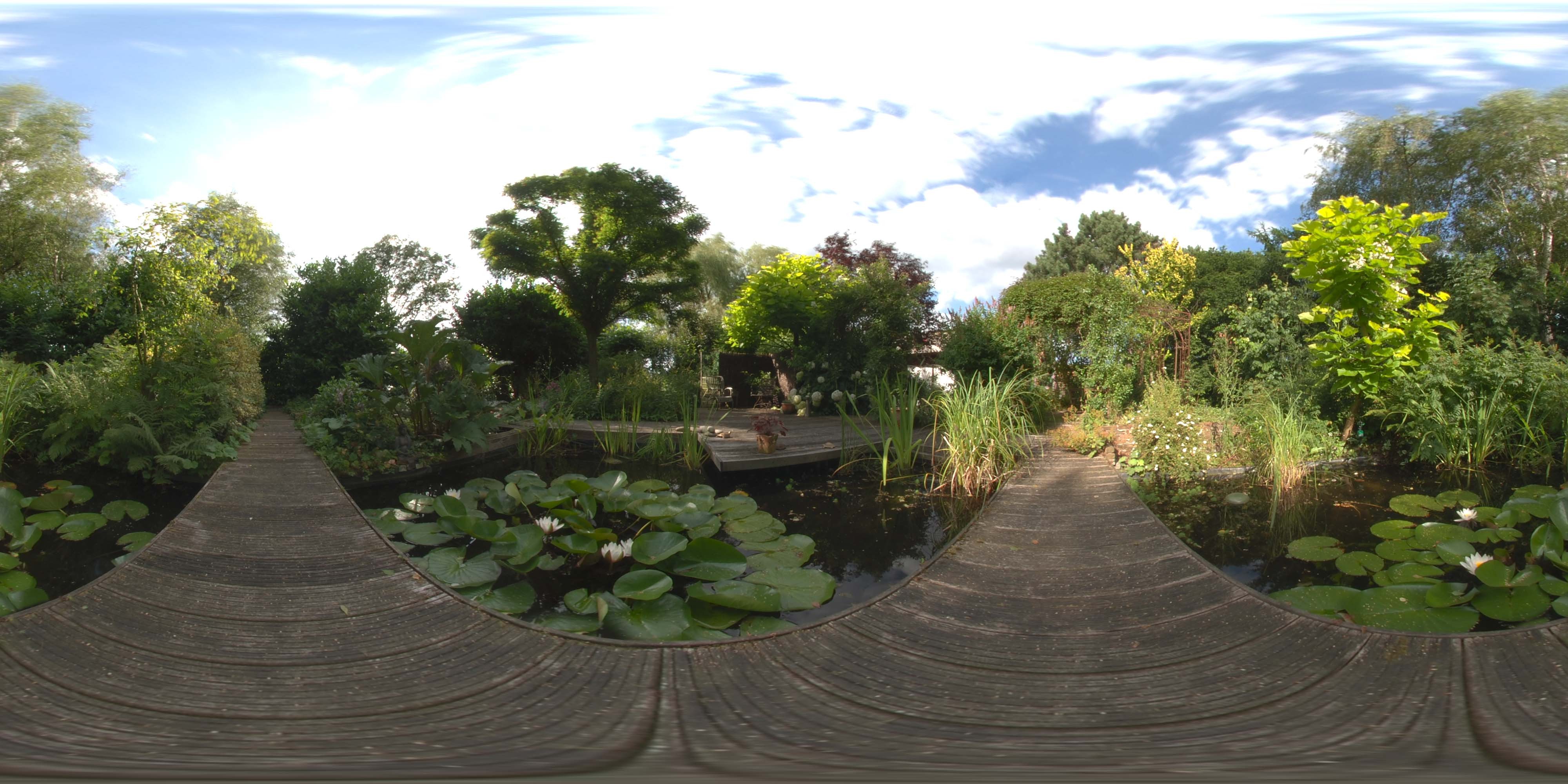 荒郊树林 B (5).jpg