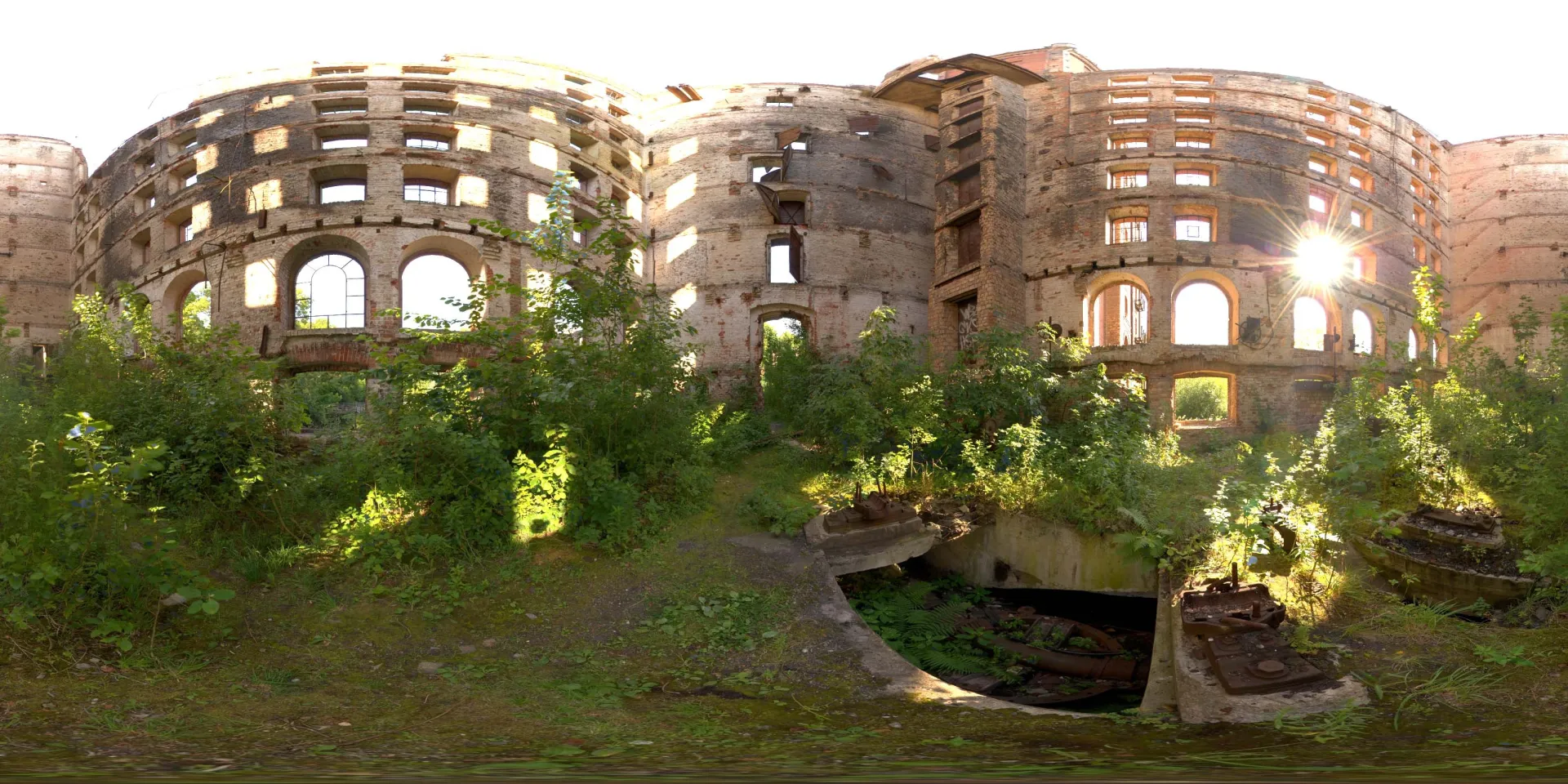 荒郊树林 B (9).jpg