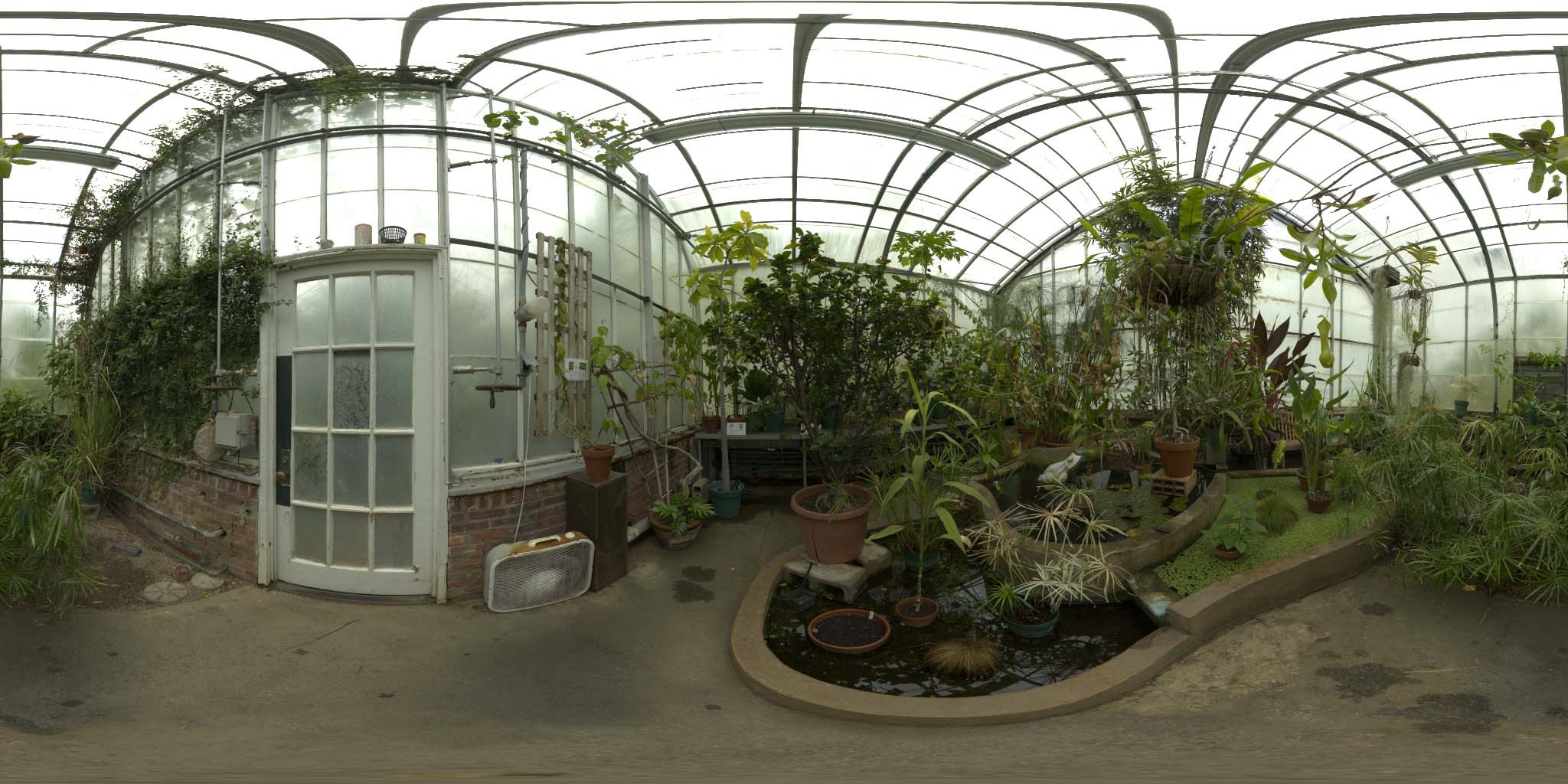 荒郊树林 B (15).jpg