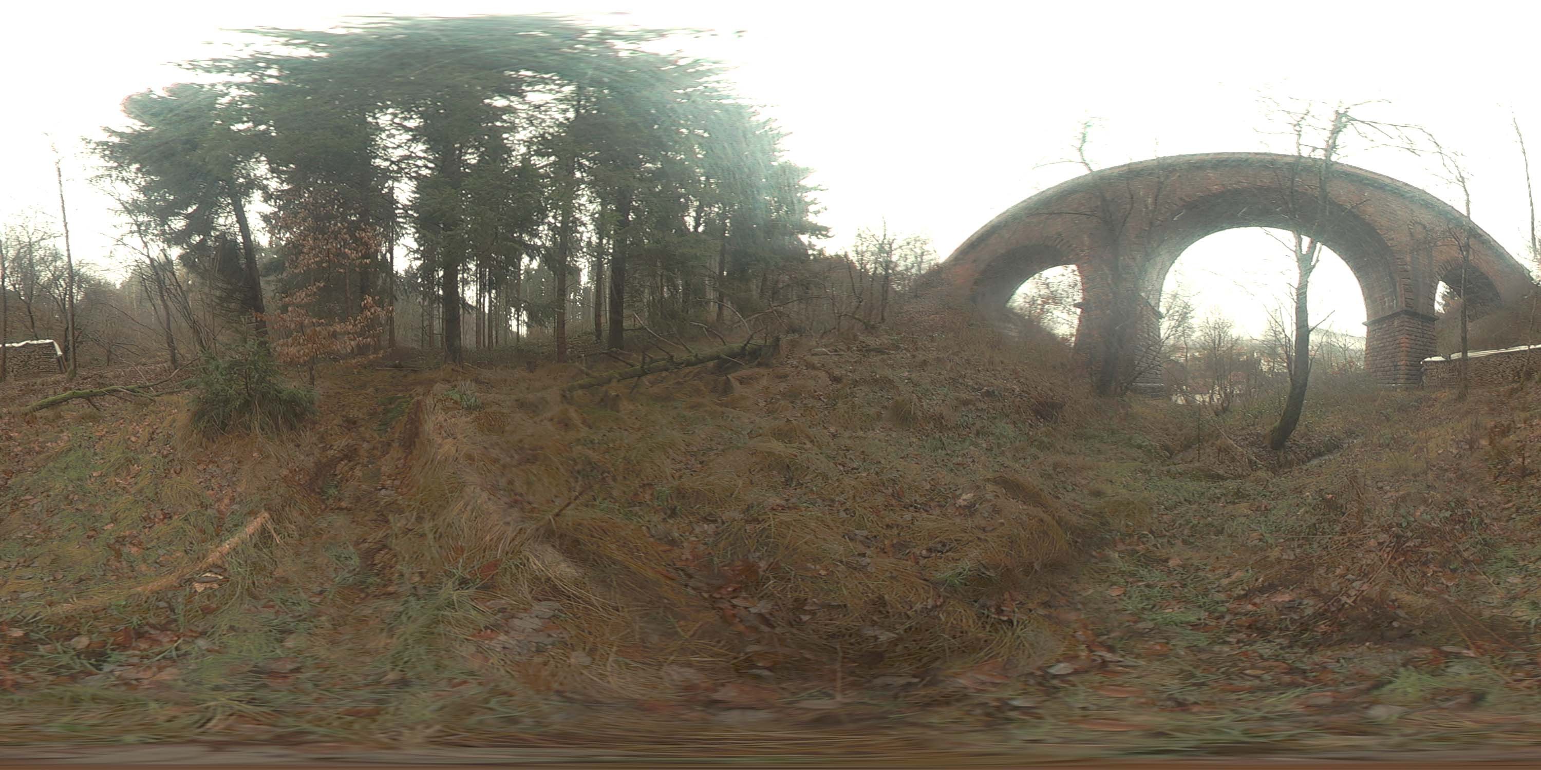 荒郊树林 B (19).jpg