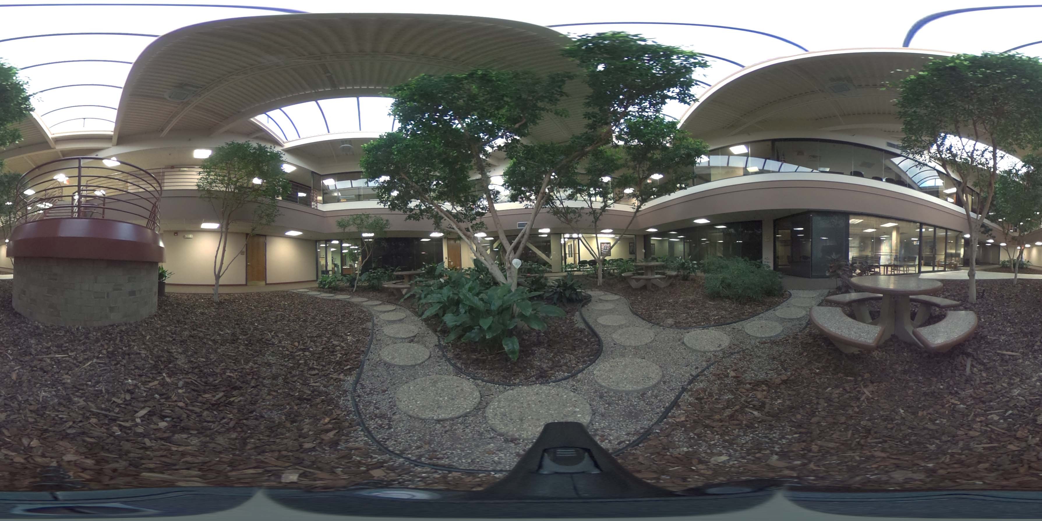 荒郊树林 B (26).jpg