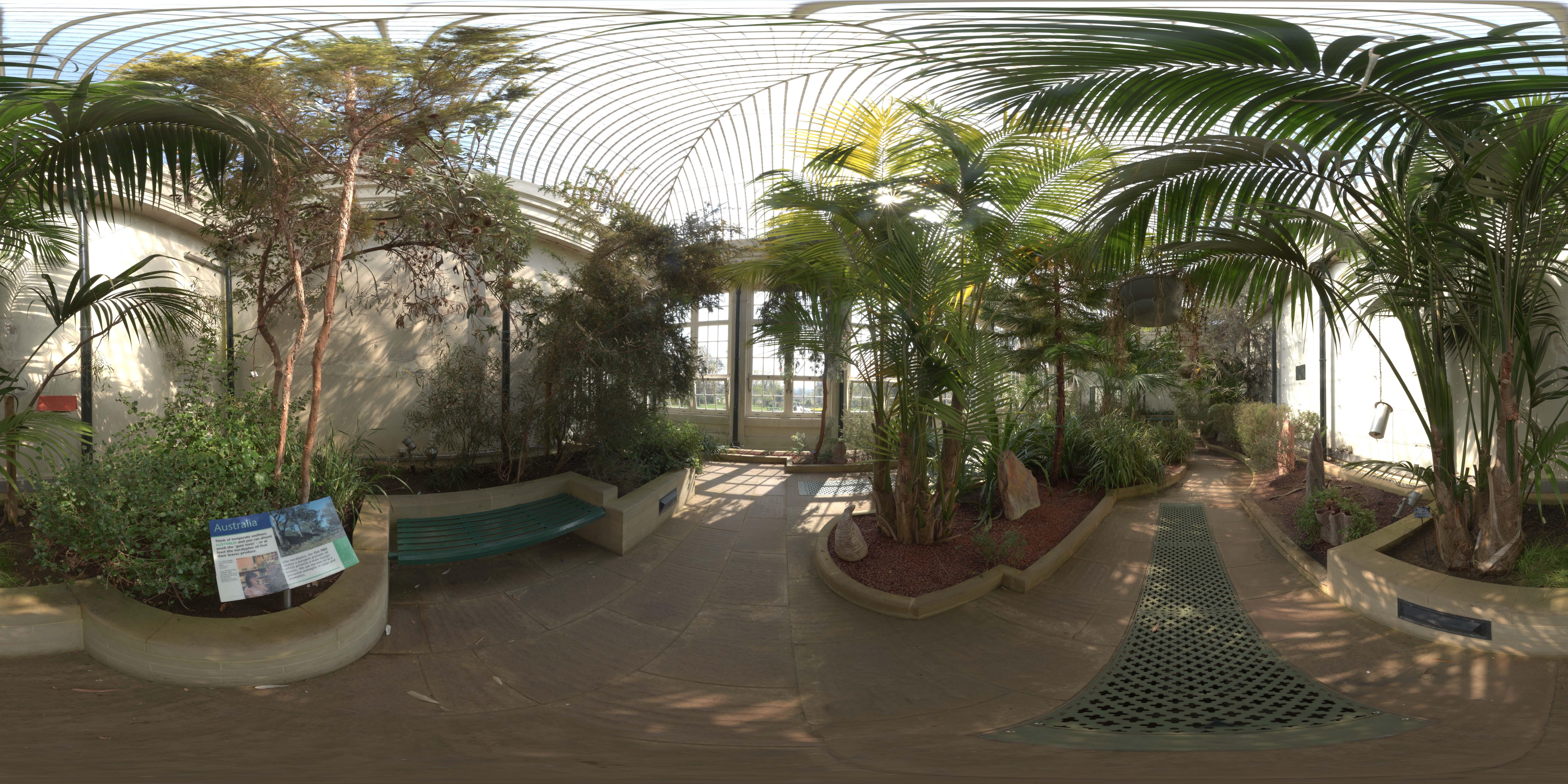 荒郊树林 B (18).jpg