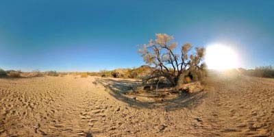 荒漠 戈壁  (21).jpg